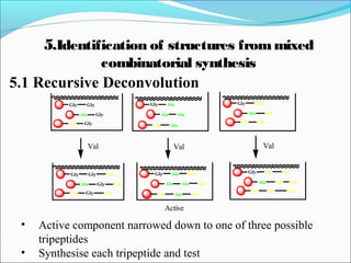 Gly
Ala
Val
Gly
Ala
Val
Gly
Ala
Val
Gly
Gly
Gly
Ala
Ala
Ala
Val
Val
Val
Val Val Val
Gly
Ala
Val
Gly
Ala
Val
Gly
Ala
Val
Gly
Gly
Gly
Ala
Ala
Ala
Val
Val
Val
Val
Val
Val
Val
Val
Val
Val
Val
Val
Active
• Active component narrowed down to one of three possible
tripeptides
• Synthesise each tripeptide and test
5.Identification of structures frommixed
combinatorial synthesis
5.1 Recursive Deconvolution
 
