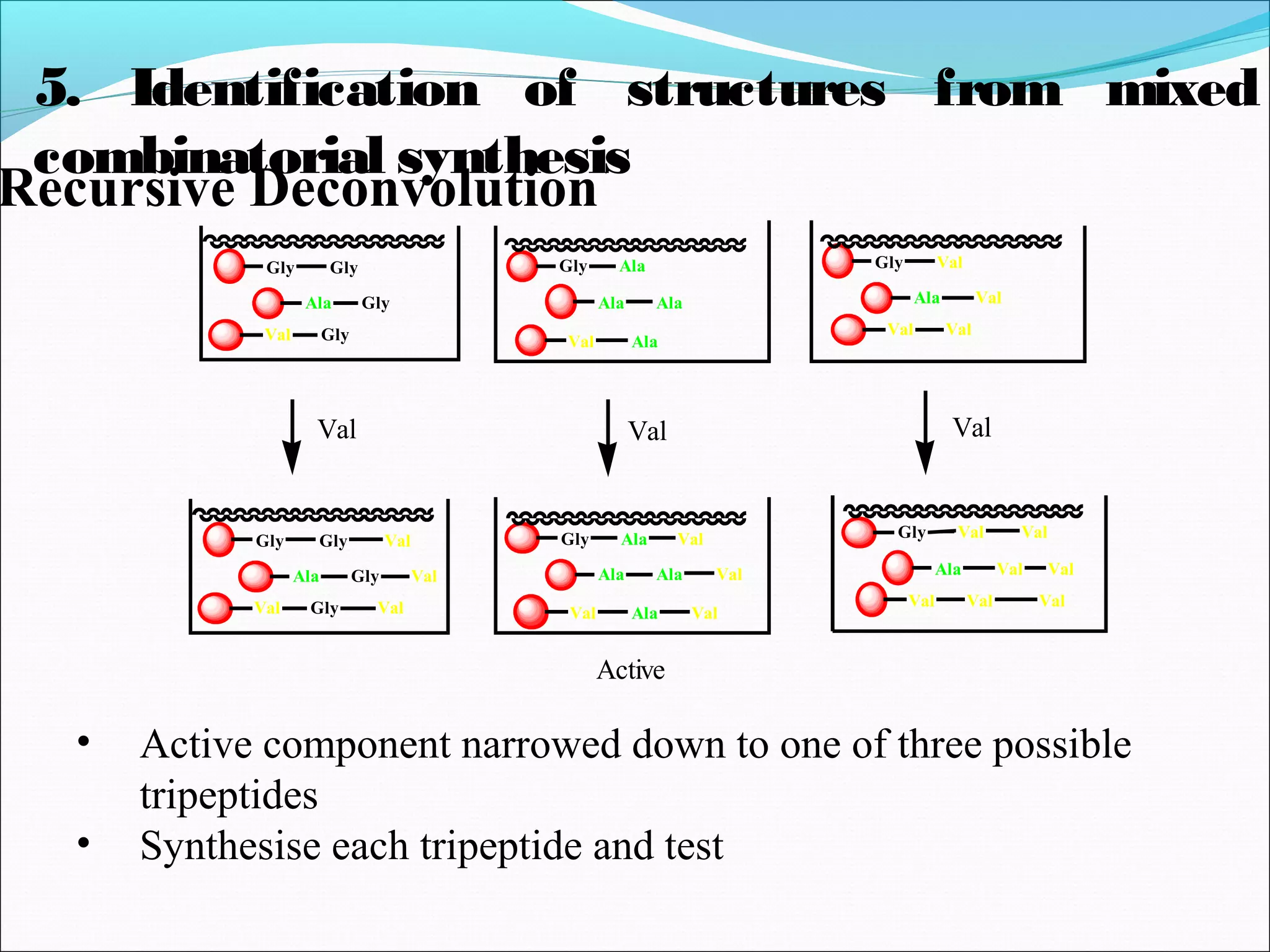 Gly
Ala
Val
Gly
Ala
Val
Gly
Ala
Val
Gly
Gly
Gly
Ala
Ala
Ala
Val
Val
Val
Val Val Val
Gly
Ala
Val
Gly
Ala
Val
Gly
Ala
Val
Gly
Gly
Gly
Ala
Ala
Ala
Val
Val
Val
Val
Val
Val
Val
Val
Val
Val
Val
Val
Active
• Active component narrowed down to one of three possible
tripeptides
• Synthesise each tripeptide and test
5. Identification of structures from mixed
combinatorial synthesis
Recursive Deconvolution
 