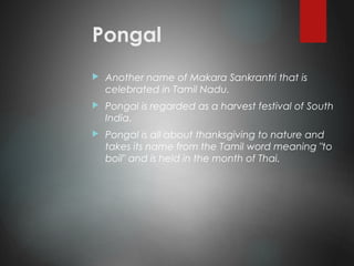 Pongal
 Another name of Makara Sankrantri that is
celebrated in Tamil Nadu.
 Pongal is regarded as a harvest festival of South
India.
 Pongal is all about thanksgiving to nature and
takes its name from the Tamil word meaning "to
boil" and is held in the month of Thai.
 