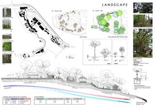 Site Analysis Belum Rainforest Resort