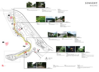 Site Analysis Belum Rainforest Resort