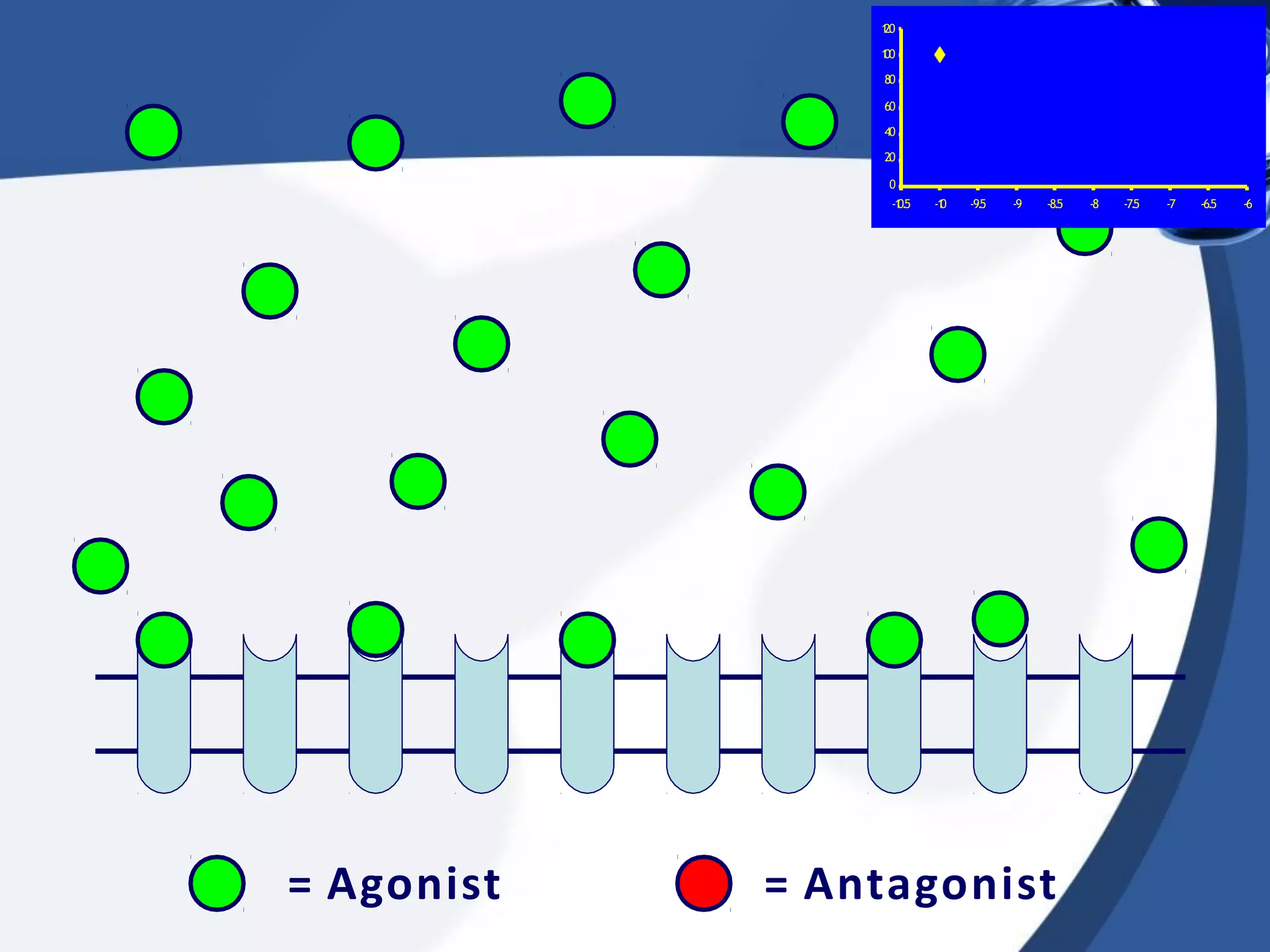 1
20
1
00
80
60
40
20
0
= Agonist = Antagonist
-1
0.5 -1
0 -9.5 -9 -8.5 -8 -7.5 -7 -6.5 -6
 
