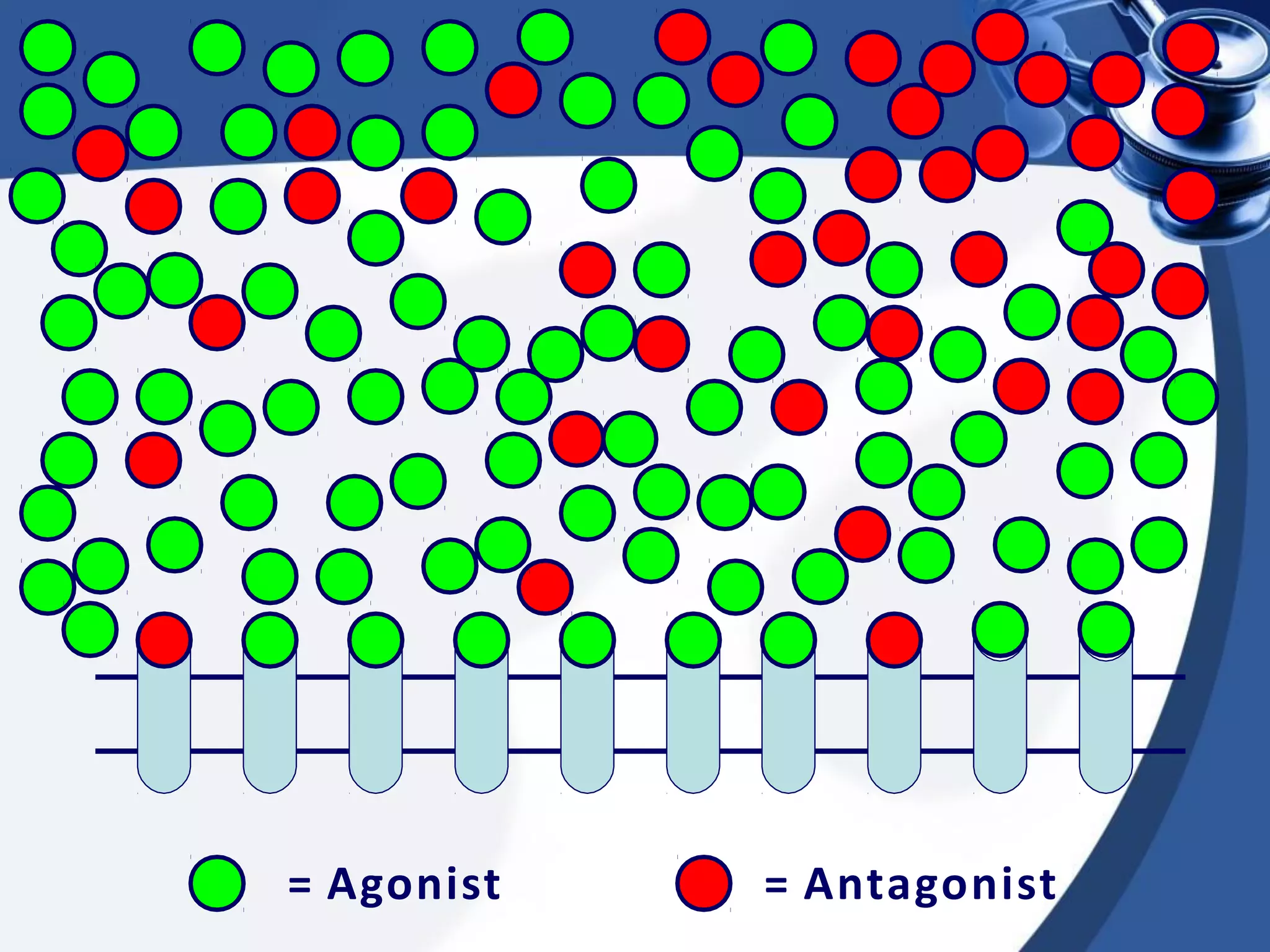 = Agonist = Antagonist
 