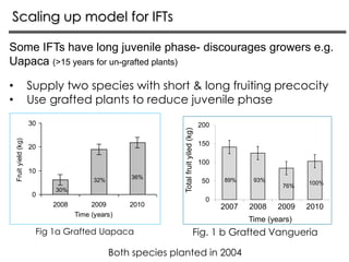 Scaling up model for IFTs
Some IFTs have long juvenile phase- discourages growers e.g.
Uapaca (>15 years for un-grafted pl...