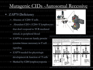 Six out of 8 – genetic defects