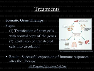 Bare Lymphocyte Syndrome