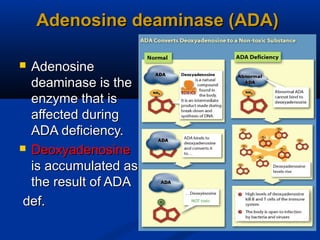 Combined immunodeficiency | PPT