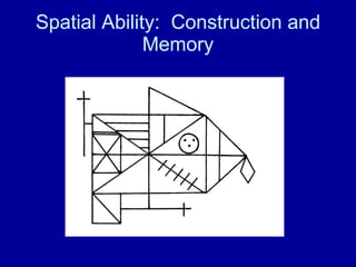Spatial Ability:  Construction and Memory 