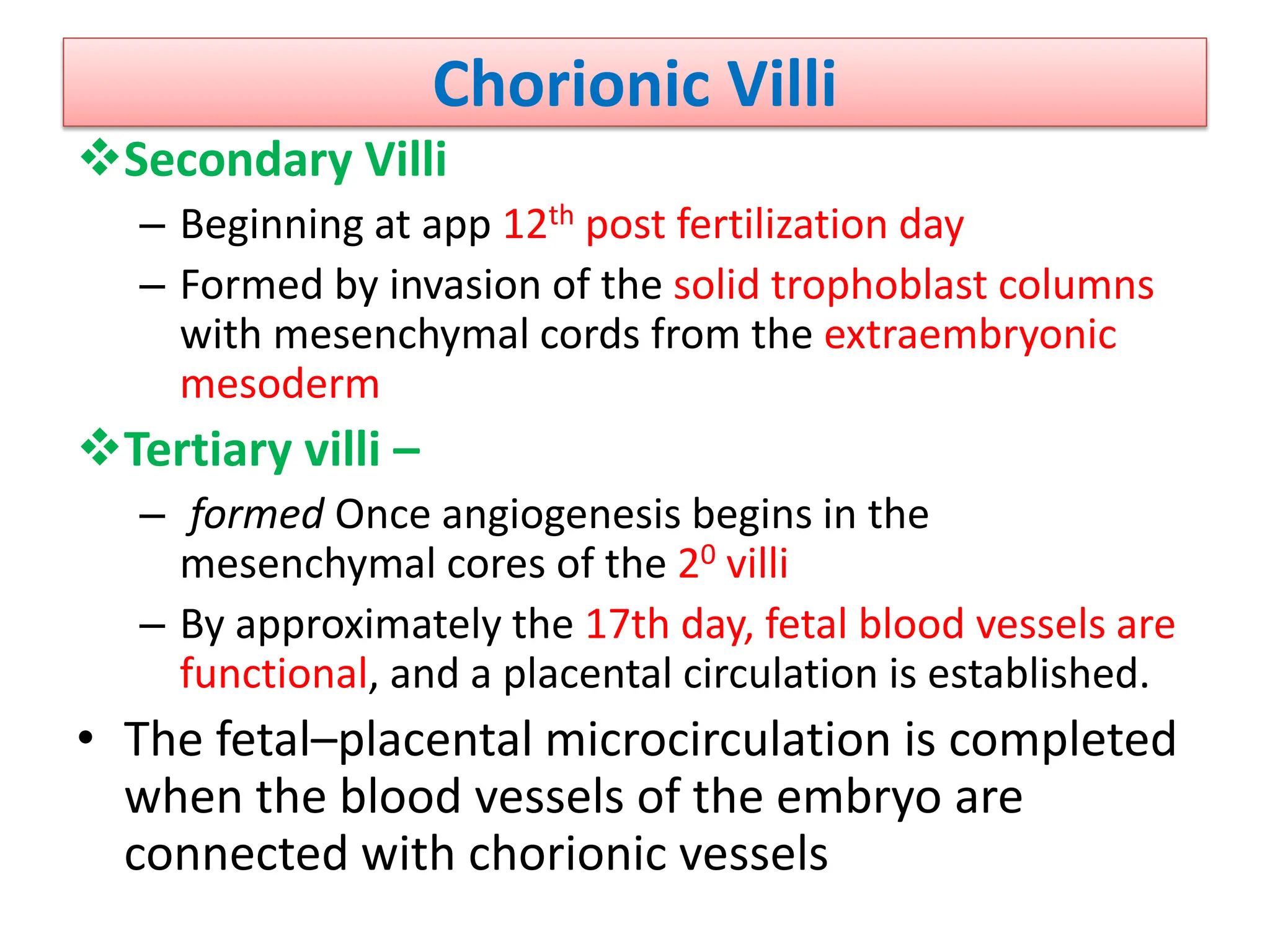 Chorionic Villi
Secondary Villi
– Beginning at app 12th post fertilization day
– Formed by invasion of the solid trophoblast columns
with mesenchymal cords from the extraembryonic
mesoderm
Tertiary villi –
– formed Once angiogenesis begins in the
mesenchymal cores of the 20 villi
– By approximately the 17th day, fetal blood vessels are
functional, and a placental circulation is established.
• The fetal–placental microcirculation is completed
when the blood vessels of the embryo are
connected with chorionic vessels
 