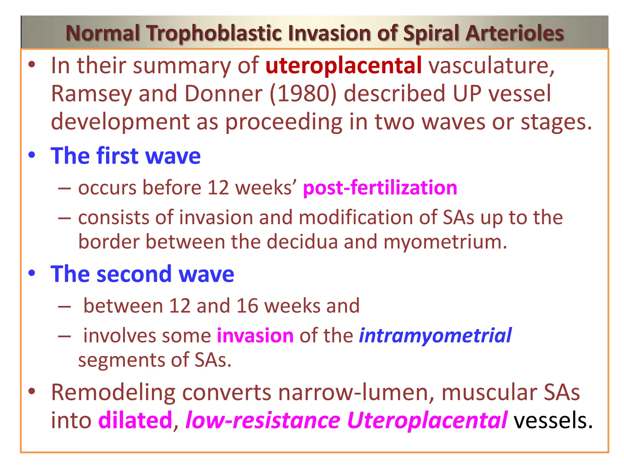Normal Trophoblastic Invasion of Spiral Arterioles
• In their summary of uteroplacental vasculature,
Ramsey and Donner (1980) described UP vessel
development as proceeding in two waves or stages.
• The first wave
– occurs before 12 weeks’ post-fertilization
– consists of invasion and modification of SAs up to the
border between the decidua and myometrium.
• The second wave
– between 12 and 16 weeks and
– involves some invasion of the intramyometrial
segments of SAs.
• Remodeling converts narrow-lumen, muscular SAs
into dilated, low-resistance Uteroplacental vessels.
 