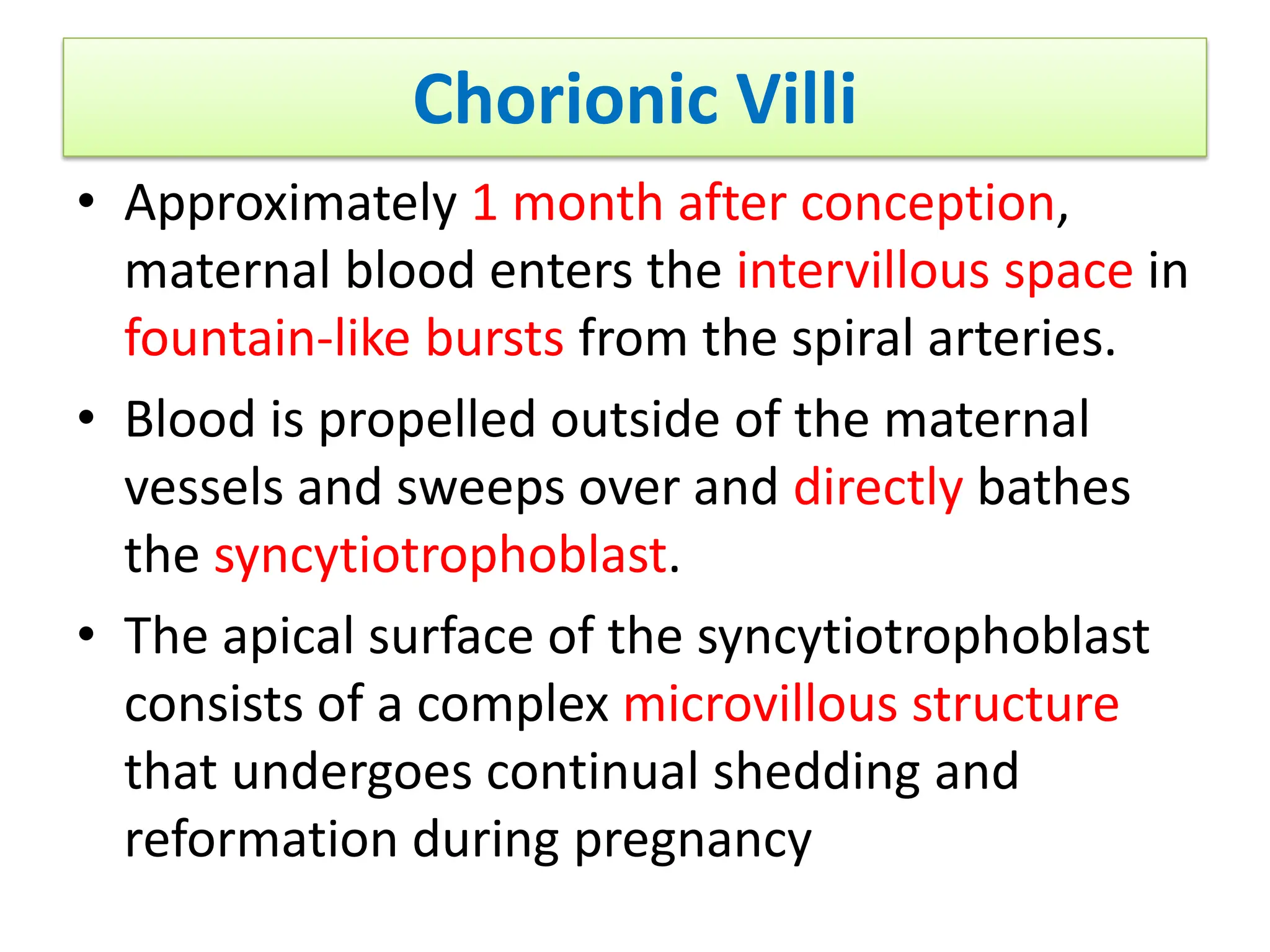 Chorionic Villi
• Approximately 1 month after conception,
maternal blood enters the intervillous space in
fountain-like bursts from the spiral arteries.
• Blood is propelled outside of the maternal
vessels and sweeps over and directly bathes
the syncytiotrophoblast.
• The apical surface of the syncytiotrophoblast
consists of a complex microvillous structure
that undergoes continual shedding and
reformation during pregnancy
 