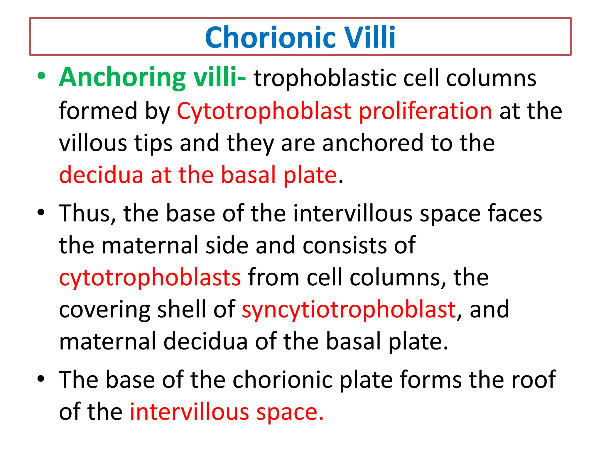Chorionic Villi
• Anchoring villi- trophoblastic cell columns
formed by Cytotrophoblast proliferation at the
villous tips and they are anchored to the
decidua at the basal plate.
• Thus, the base of the intervillous space faces
the maternal side and consists of
cytotrophoblasts from cell columns, the
covering shell of syncytiotrophoblast, and
maternal decidua of the basal plate.
• The base of the chorionic plate forms the roof
of the intervillous space.
 