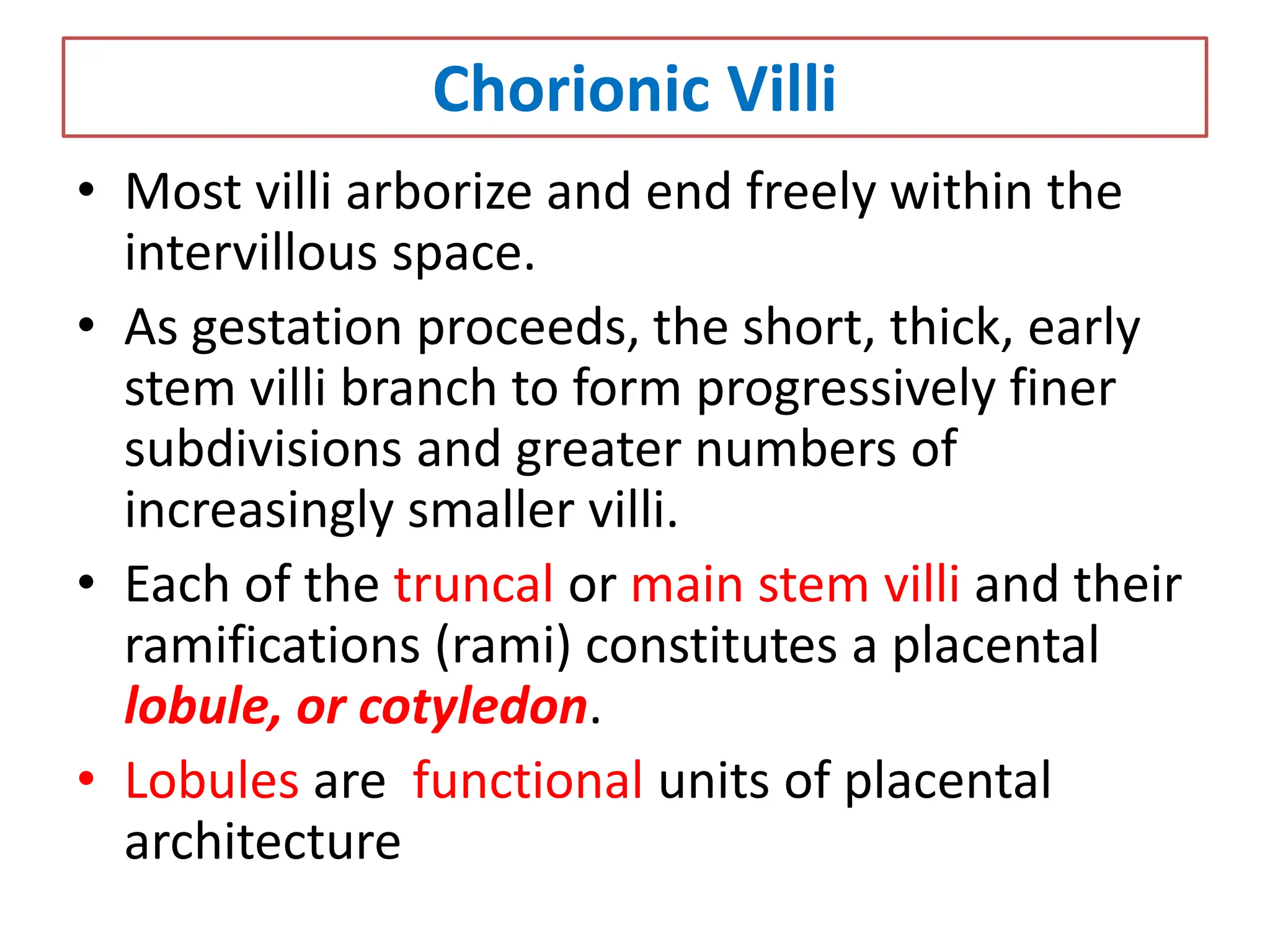 Chorionic Villi
• Most villi arborize and end freely within the
intervillous space.
• As gestation proceeds, the short, thick, early
stem villi branch to form progressively finer
subdivisions and greater numbers of
increasingly smaller villi.
• Each of the truncal or main stem villi and their
ramifications (rami) constitutes a placental
lobule, or cotyledon.
• Lobules are functional units of placental
architecture
 
