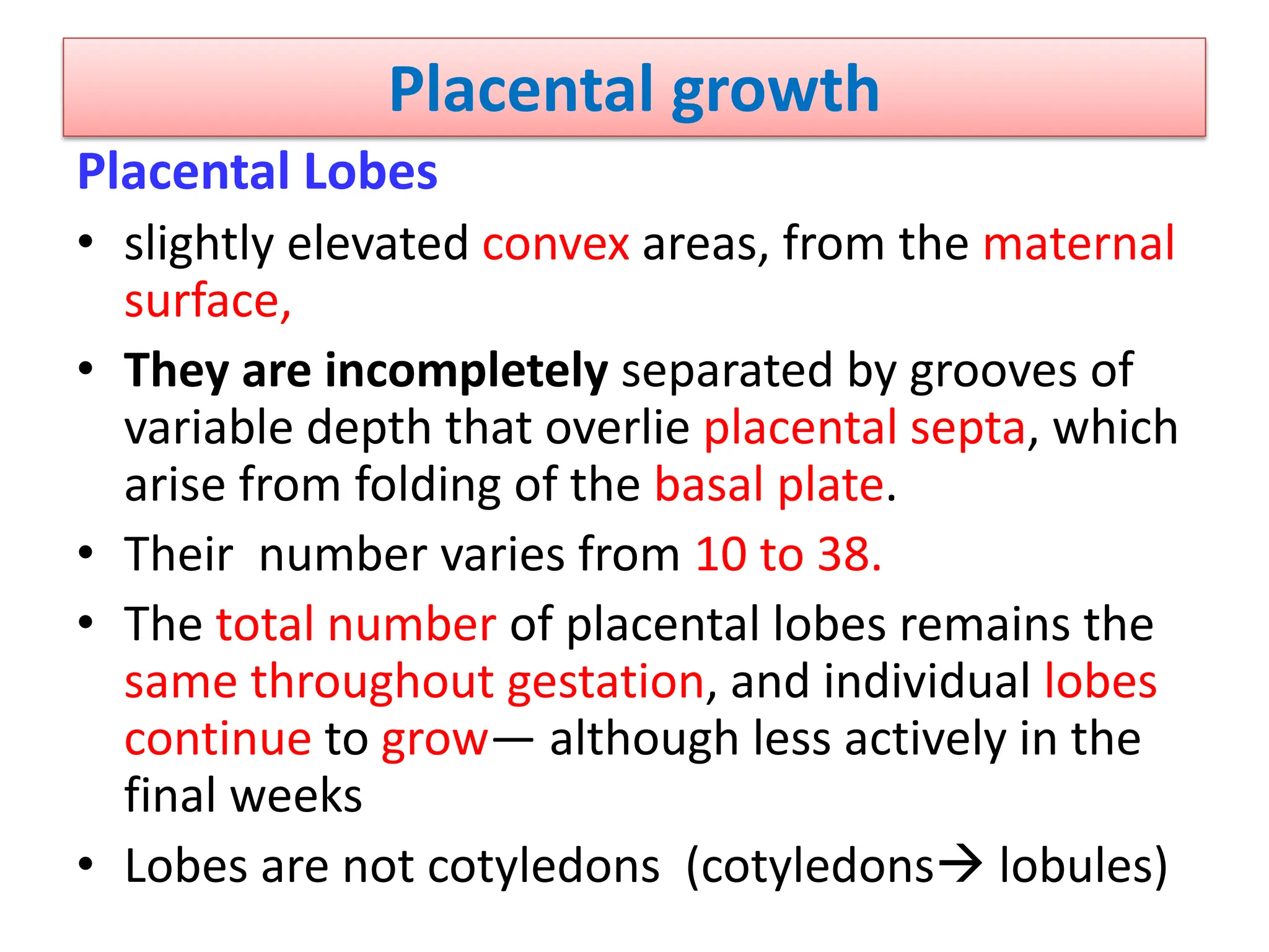 Placental growth
Placental Lobes
• slightly elevated convex areas, from the maternal
surface,
• They are incompletely separated by grooves of
variable depth that overlie placental septa, which
arise from folding of the basal plate.
• Their number varies from 10 to 38.
• The total number of placental lobes remains the
same throughout gestation, and individual lobes
continue to grow— although less actively in the
final weeks
• Lobes are not cotyledons (cotyledons lobules)
 