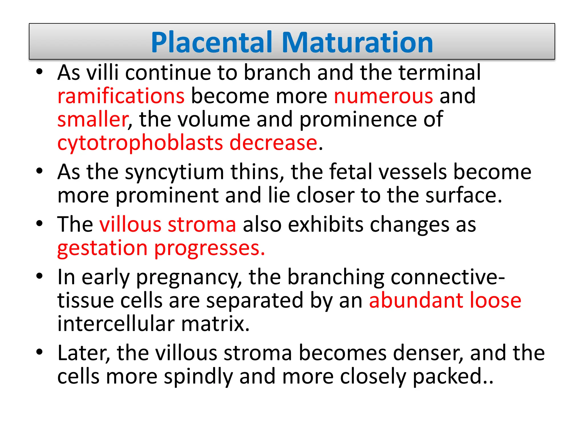 Placental Maturation
• As villi continue to branch and the terminal
ramifications become more numerous and
smaller, the volume and prominence of
cytotrophoblasts decrease.
• As the syncytium thins, the fetal vessels become
more prominent and lie closer to the surface.
• The villous stroma also exhibits changes as
gestation progresses.
• In early pregnancy, the branching connective-
tissue cells are separated by an abundant loose
intercellular matrix.
• Later, the villous stroma becomes denser, and the
cells more spindly and more closely packed..
 