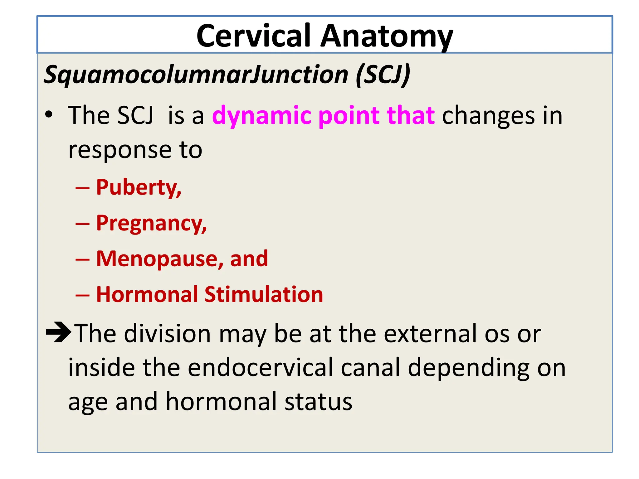 Cervical Anatomy
SquamocolumnarJunction (SCJ)
• The SCJ is a dynamic point that changes in
response to
– Puberty,
– Pregnancy,
– Menopause, and
– Hormonal Stimulation
The division may be at the external os or
inside the endocervical canal depending on
age and hormonal status
 