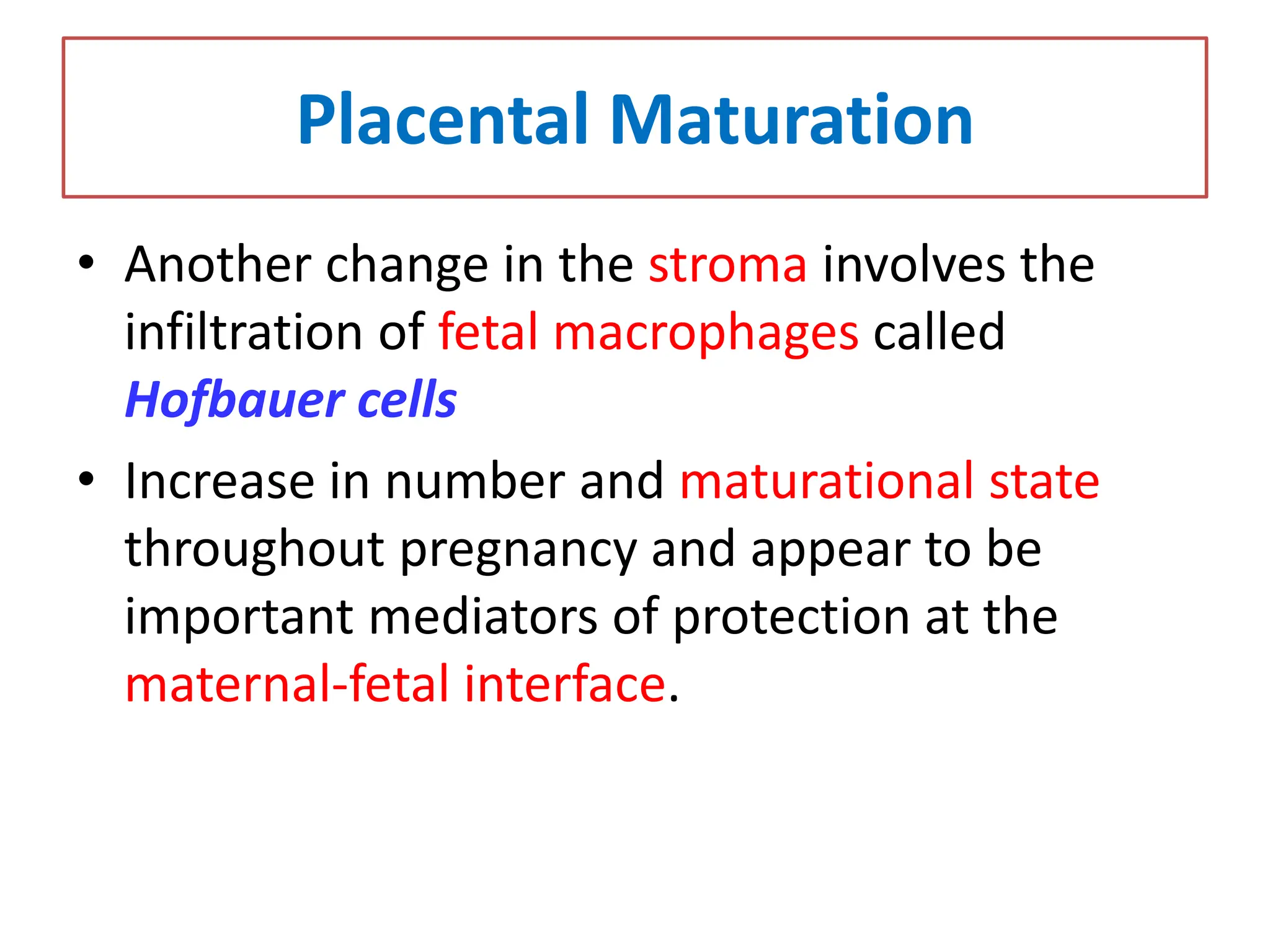 Placental Maturation
• Another change in the stroma involves the
infiltration of fetal macrophages called
Hofbauer cells
• Increase in number and maturational state
throughout pregnancy and appear to be
important mediators of protection at the
maternal-fetal interface.
 