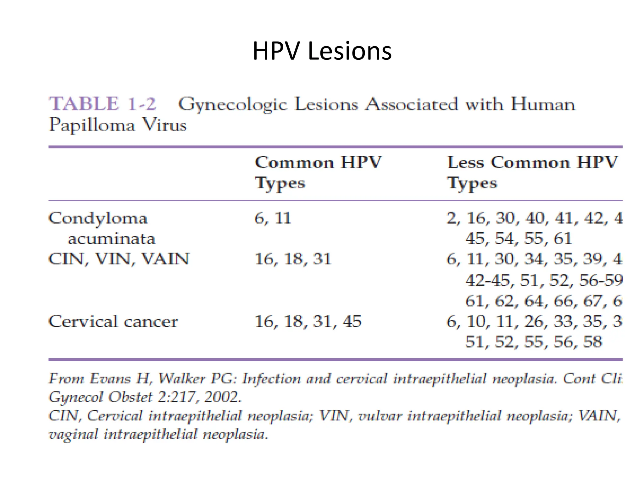 HPV Lesions
 