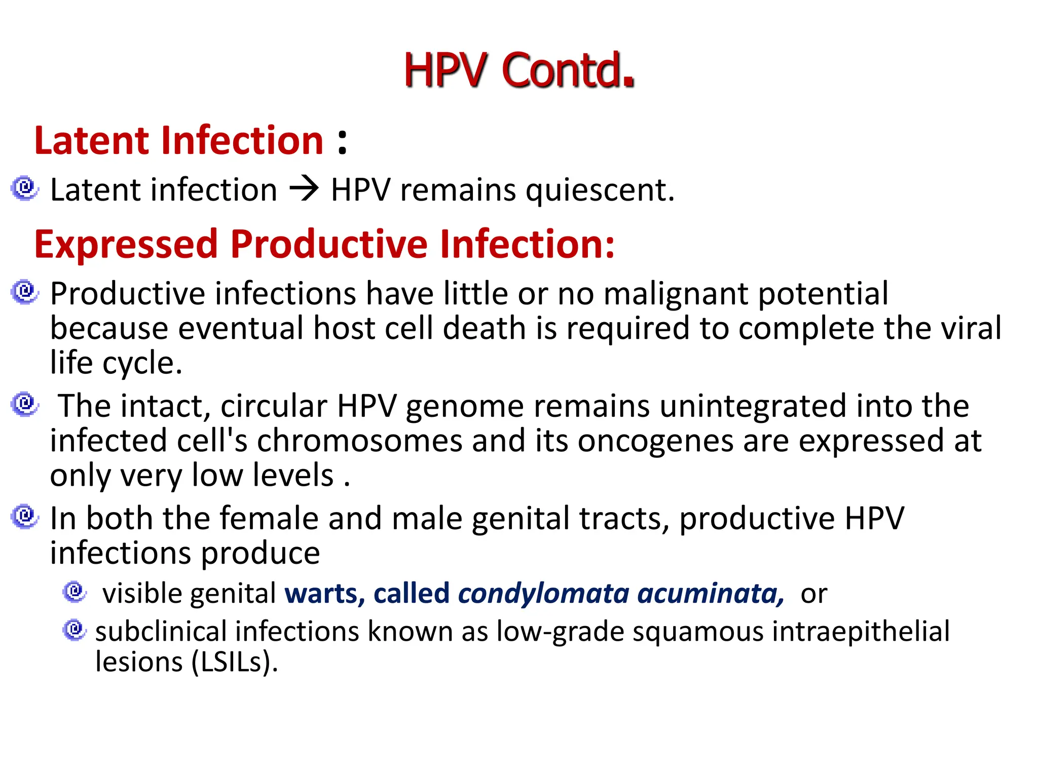 Latent Infection :
Latent infection  HPV remains quiescent.
Expressed Productive Infection:
Productive infections have little or no malignant potential
because eventual host cell death is required to complete the viral
life cycle.
The intact, circular HPV genome remains unintegrated into the
infected cell's chromosomes and its oncogenes are expressed at
only very low levels .
In both the female and male genital tracts, productive HPV
infections produce
visible genital warts, called condylomata acuminata, or
subclinical infections known as low-grade squamous intraepithelial
lesions (LSILs).
HPV Contd.
 