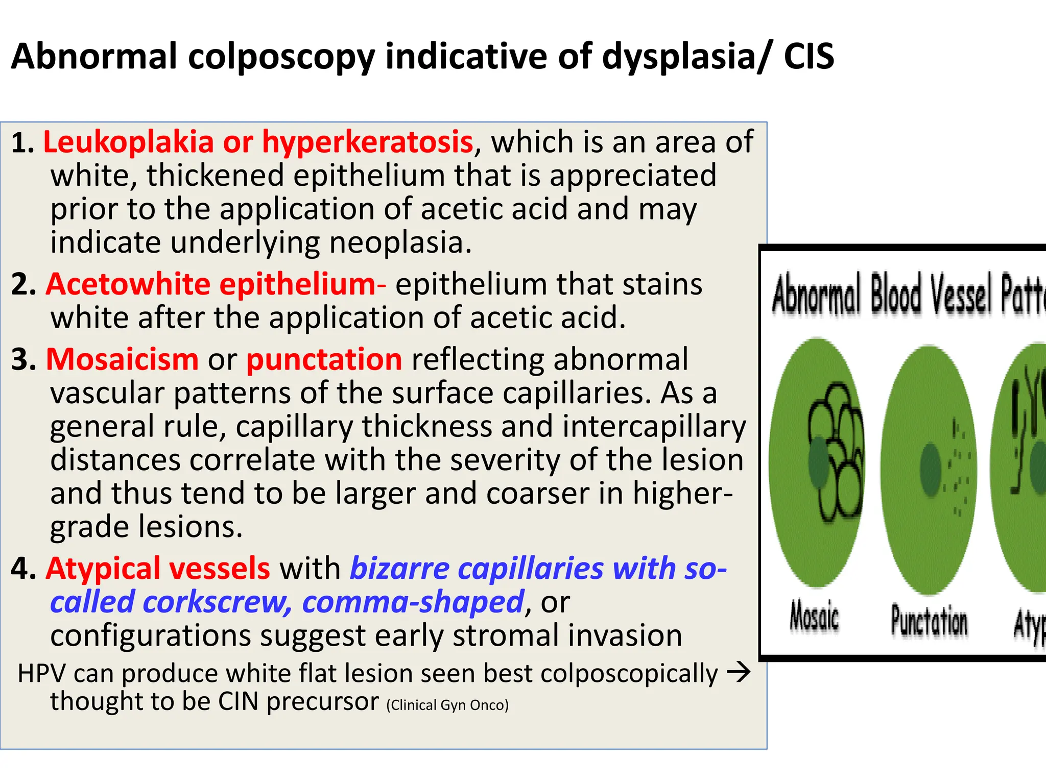 Abnormal colposcopy indicative of dysplasia/ CIS
1. Leukoplakia or hyperkeratosis, which is an area of
white, thickened epithelium that is appreciated
prior to the application of acetic acid and may
indicate underlying neoplasia.
2. Acetowhite epithelium- epithelium that stains
white after the application of acetic acid.
3. Mosaicism or punctation reflecting abnormal
vascular patterns of the surface capillaries. As a
general rule, capillary thickness and intercapillary
distances correlate with the severity of the lesion
and thus tend to be larger and coarser in higher-
grade lesions.
4. Atypical vessels with bizarre capillaries with so-
called corkscrew, comma-shaped, or
configurations suggest early stromal invasion
HPV can produce white flat lesion seen best colposcopically 
thought to be CIN precursor (Clinical Gyn Onco)
 