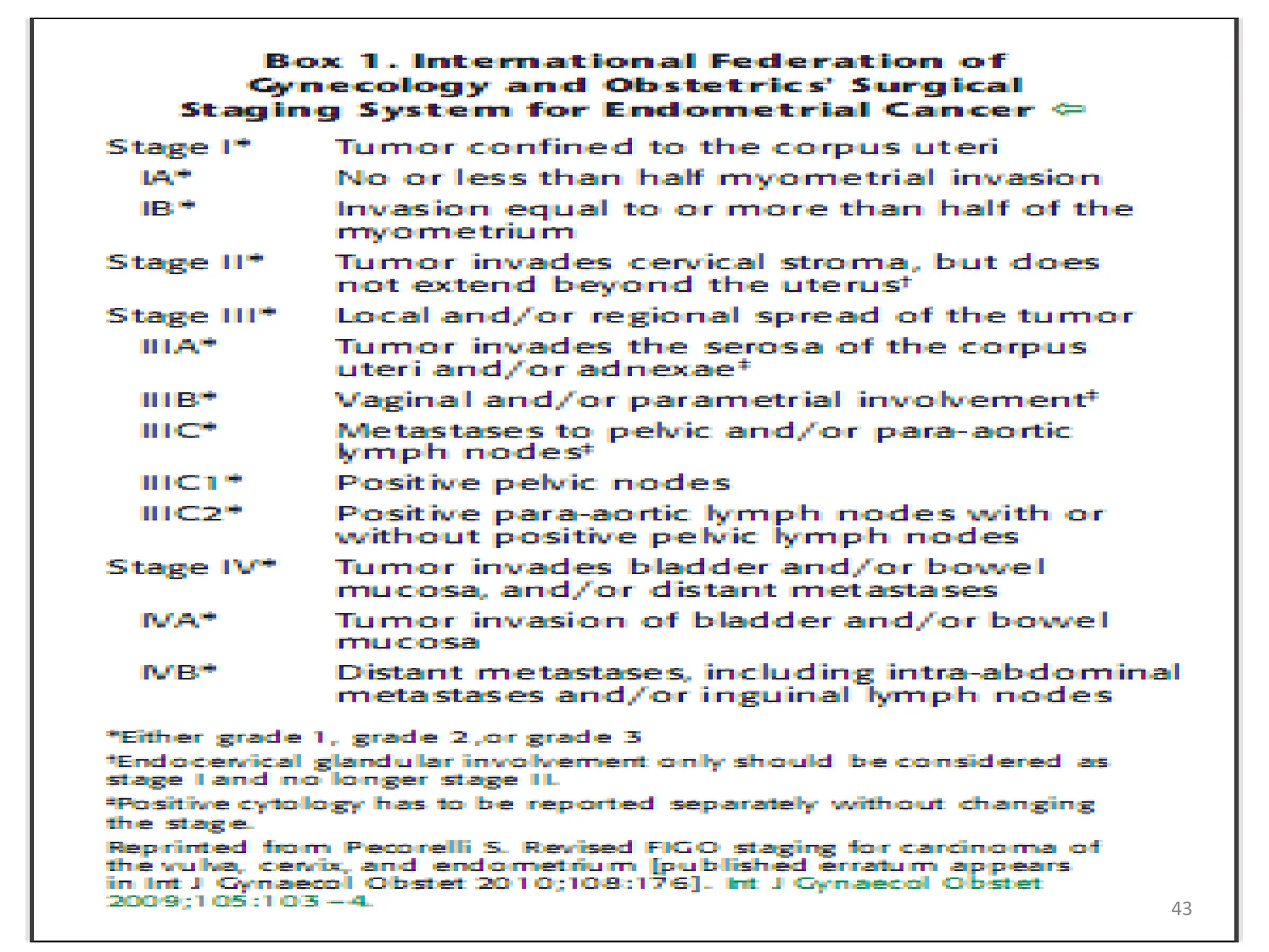 SAMUEL BEZABIH(MD)- MMeskrem 2005 43
 