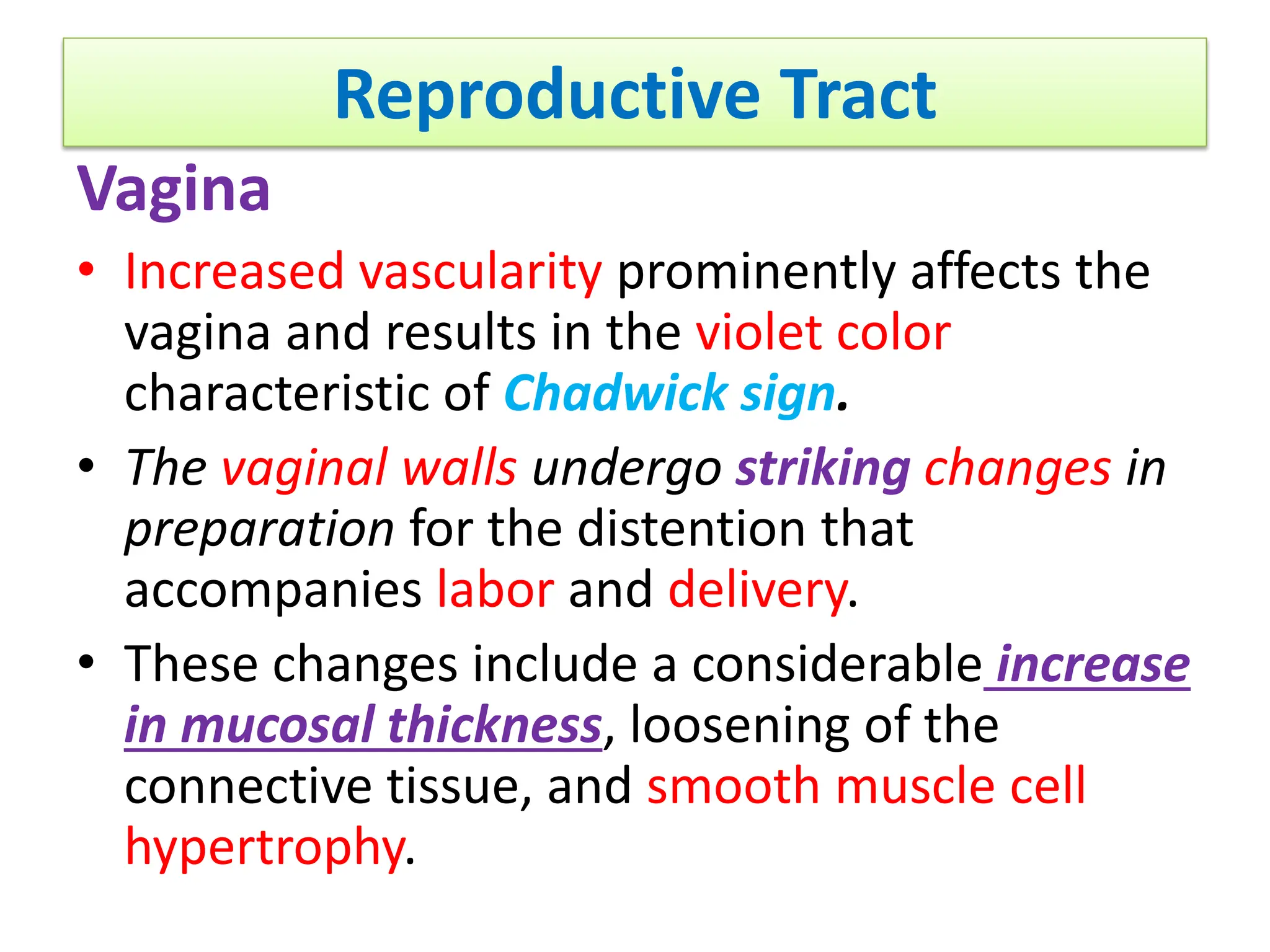 Reproductive Tract
Vagina
• Increased vascularity prominently affects the
vagina and results in the violet color
characteristic of Chadwick sign.
• The vaginal walls undergo striking changes in
preparation for the distention that
accompanies labor and delivery.
• These changes include a considerable increase
in mucosal thickness, loosening of the
connective tissue, and smooth muscle cell
hypertrophy.
 