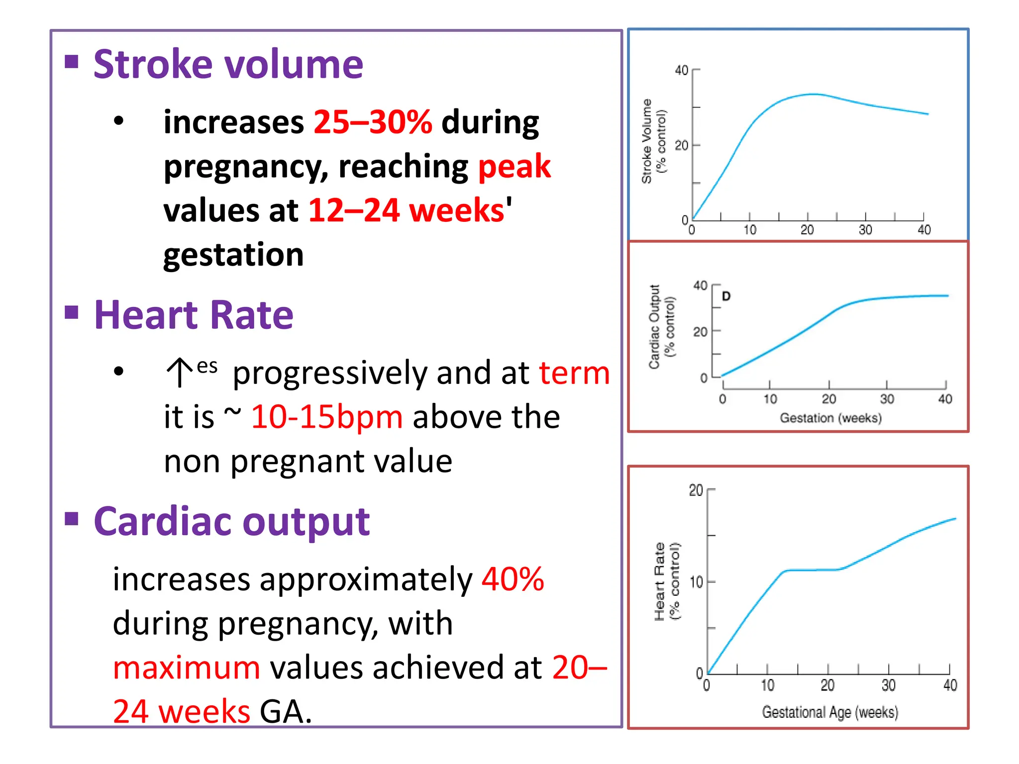  Stroke volume
• increases 25–30% during
pregnancy, reaching peak
values at 12–24 weeks'
gestation
 Heart Rate
• ↑es progressively and at term
it is ~ 10-15bpm above the
non pregnant value
 Cardiac output
increases approximately 40%
during pregnancy, with
maximum values achieved at 20–
24 weeks GA.
 