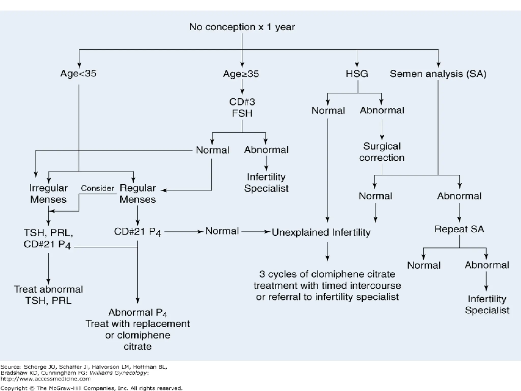ሳሙኤል በዛብህ ህዳር 2006 ጎንደር 22
 