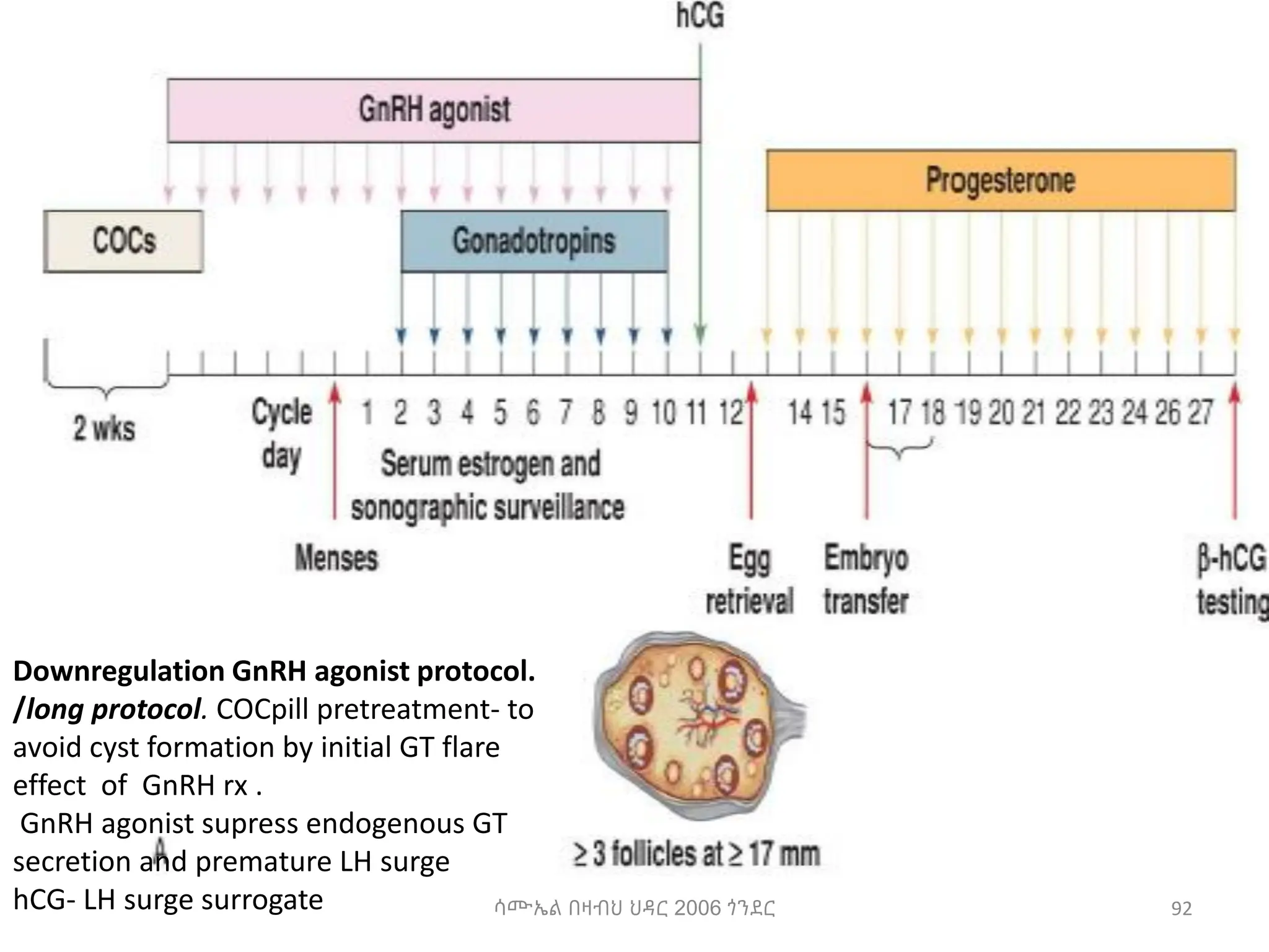 ሳሙኤል በዛብህ ህዳር 2006 ጎንደር 92
Downregulation GnRH agonist protocol.
/long protocol. COCpill pretreatment- to
avoid cyst formation by initial GT flare
effect of GnRH rx .
GnRH agonist supress endogenous GT
secretion and premature LH surge
hCG- LH surge surrogate
 
