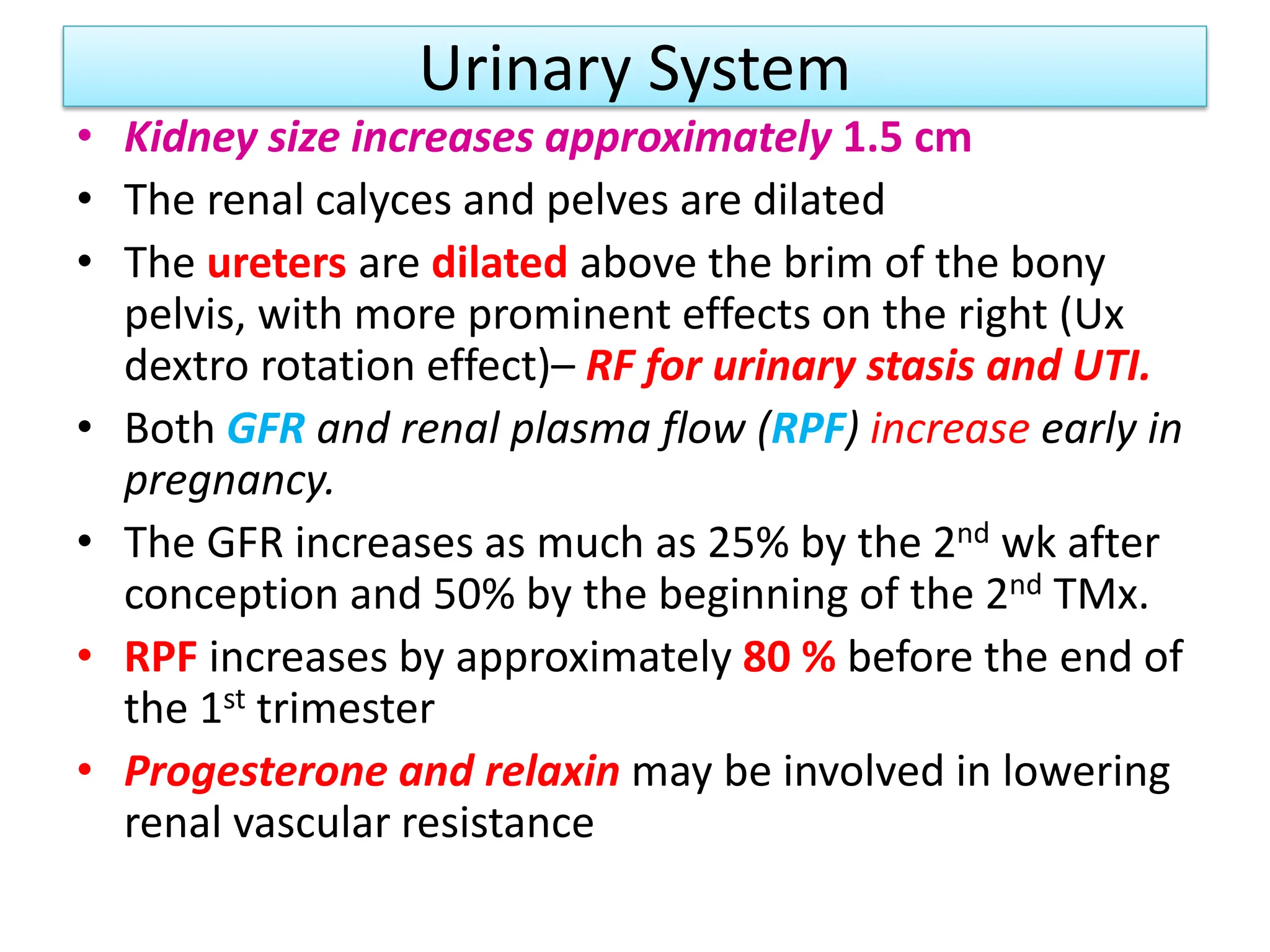 Urinary System
• Kidney size increases approximately 1.5 cm
• The renal calyces and pelves are dilated
• The ureters are dilated above the brim of the bony
pelvis, with more prominent effects on the right (Ux
dextro rotation effect)– RF for urinary stasis and UTI.
• Both GFR and renal plasma flow (RPF) increase early in
pregnancy.
• The GFR increases as much as 25% by the 2nd wk after
conception and 50% by the beginning of the 2nd TMx.
• RPF increases by approximately 80 % before the end of
the 1st trimester
• Progesterone and relaxin may be involved in lowering
renal vascular resistance
 