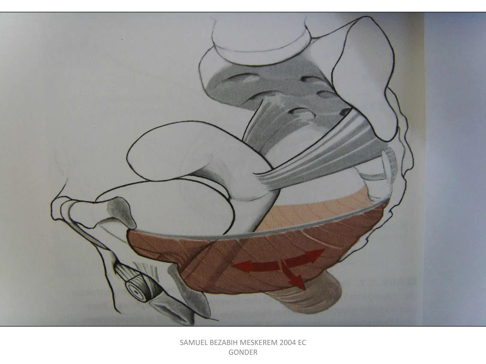 SAMUEL BEZABIH MESKEREM 2004 EC
GONDER
 