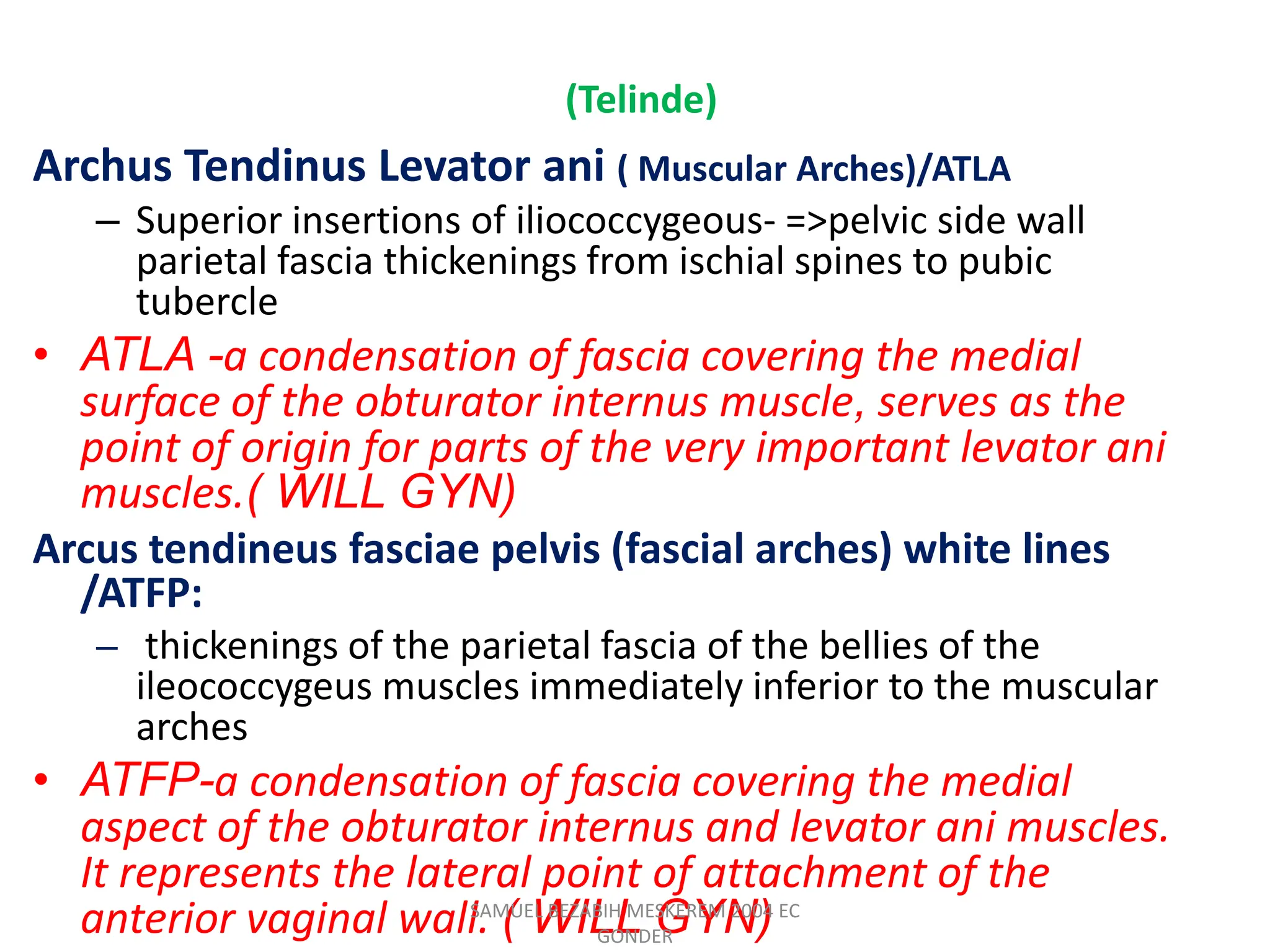 (Telinde)
Archus Tendinus Levator ani ( Muscular Arches)/ATLA
– Superior insertions of iliococcygeous- =>pelvic side wall
parietal fascia thickenings from ischial spines to pubic
tubercle
• ATLA -a condensation of fascia covering the medial
surface of the obturator internus muscle, serves as the
point of origin for parts of the very important levator ani
muscles.( WILL GYN)
Arcus tendineus fasciae pelvis (fascial arches) white lines
/ATFP:
– thickenings of the parietal fascia of the bellies of the
ileococcygeus muscles immediately inferior to the muscular
arches
• ATFP-a condensation of fascia covering the medial
aspect of the obturator internus and levator ani muscles.
It represents the lateral point of attachment of the
anterior vaginal wall. ( WILL GYN)
SAMUEL BEZABIH MESKEREM 2004 EC
GONDER
 