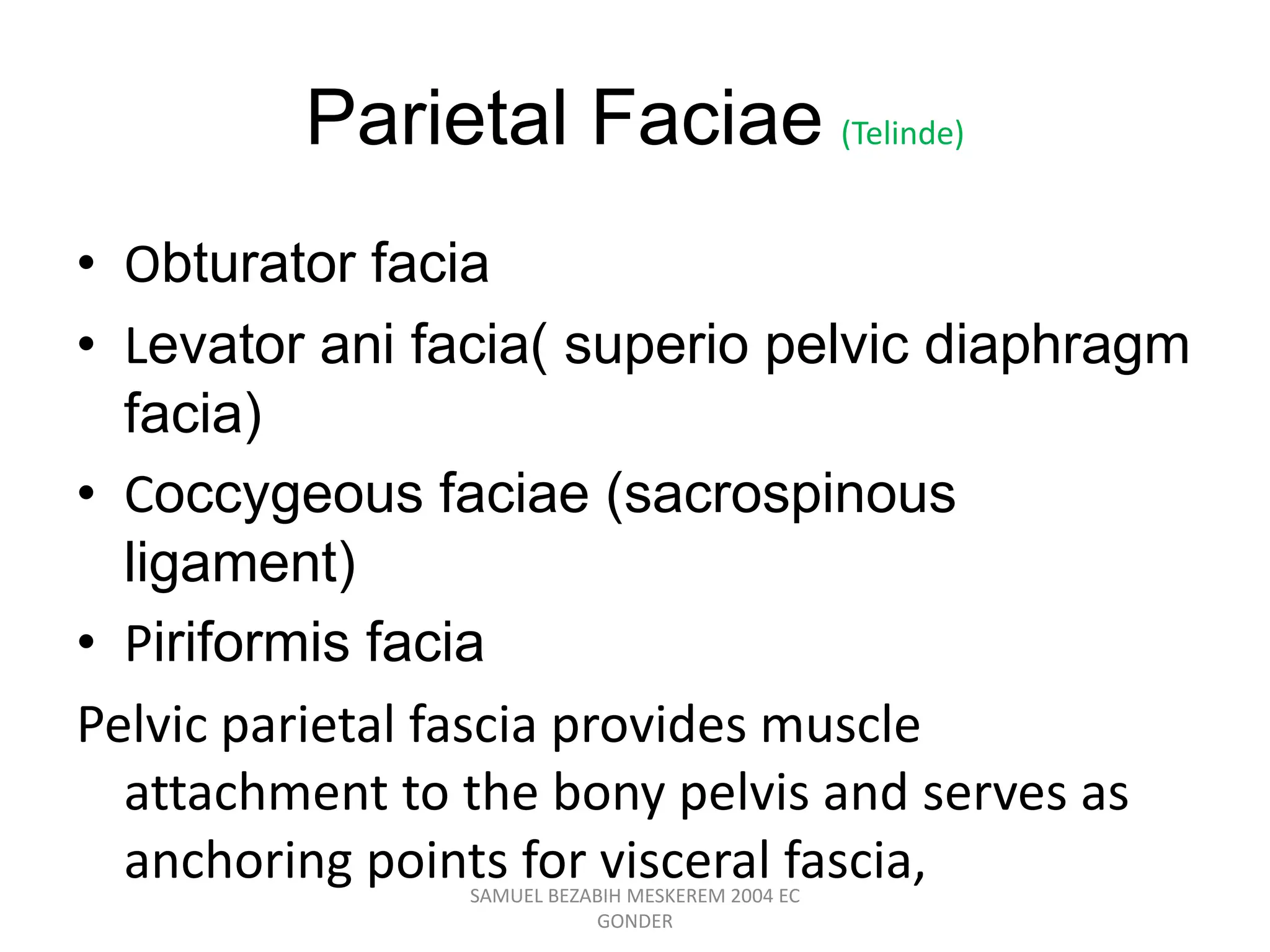 Parietal Faciae (Telinde)
• Obturator facia
• Levator ani facia( superio pelvic diaphragm
facia)
• Coccygeous faciae (sacrospinous
ligament)
• Piriformis facia
Pelvic parietal fascia provides muscle
attachment to the bony pelvis and serves as
anchoring points for visceral fascia,
SAMUEL BEZABIH MESKEREM 2004 EC
GONDER
 