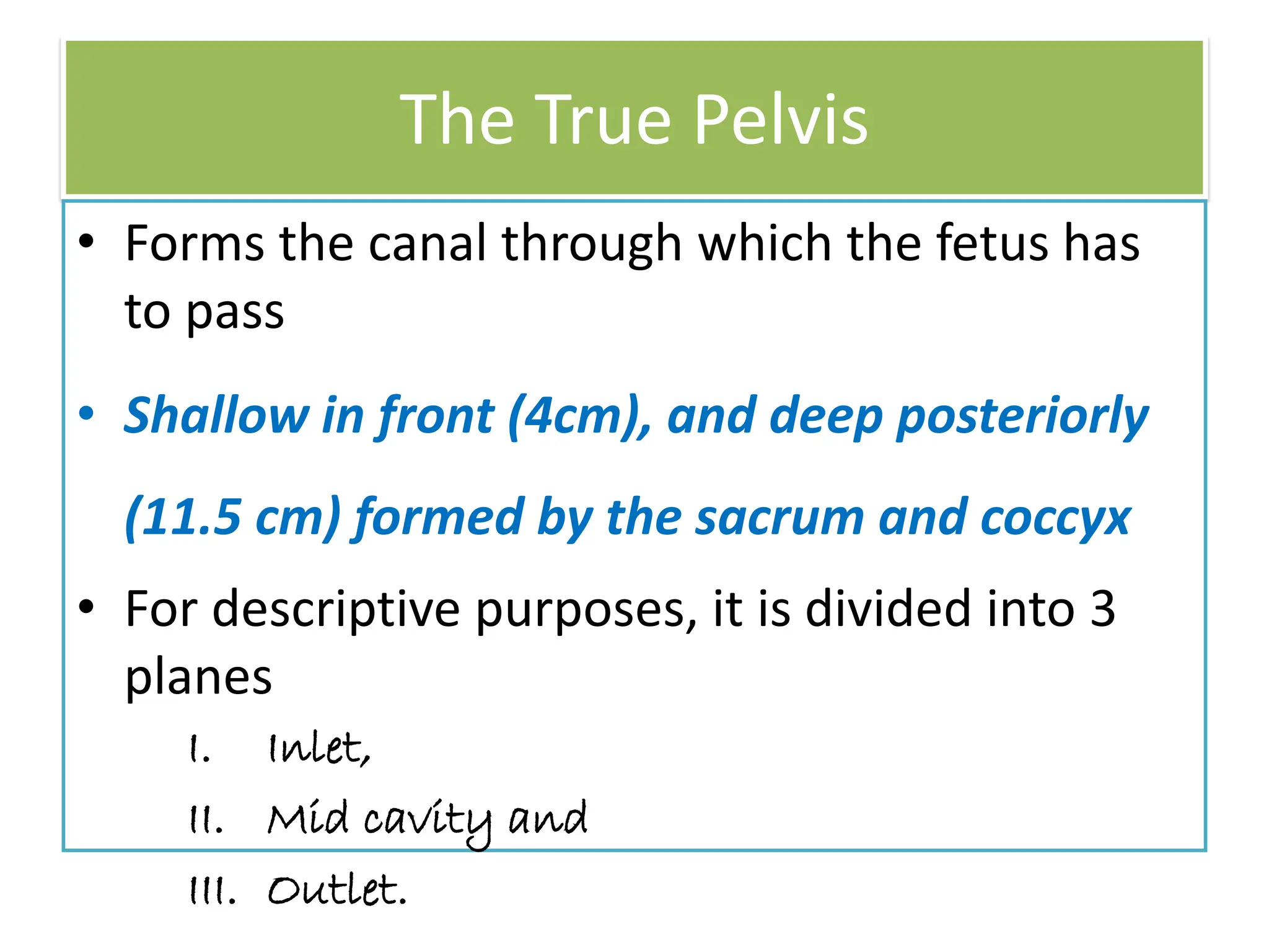 The True Pelvis
• Forms the canal through which the fetus has
to pass
• Shallow in front (4cm), and deep posteriorly
(11.5 cm) formed by the sacrum and coccyx
• For descriptive purposes, it is divided into 3
planes
I. Inlet,
II. Mid cavity and
III. Outlet.
 