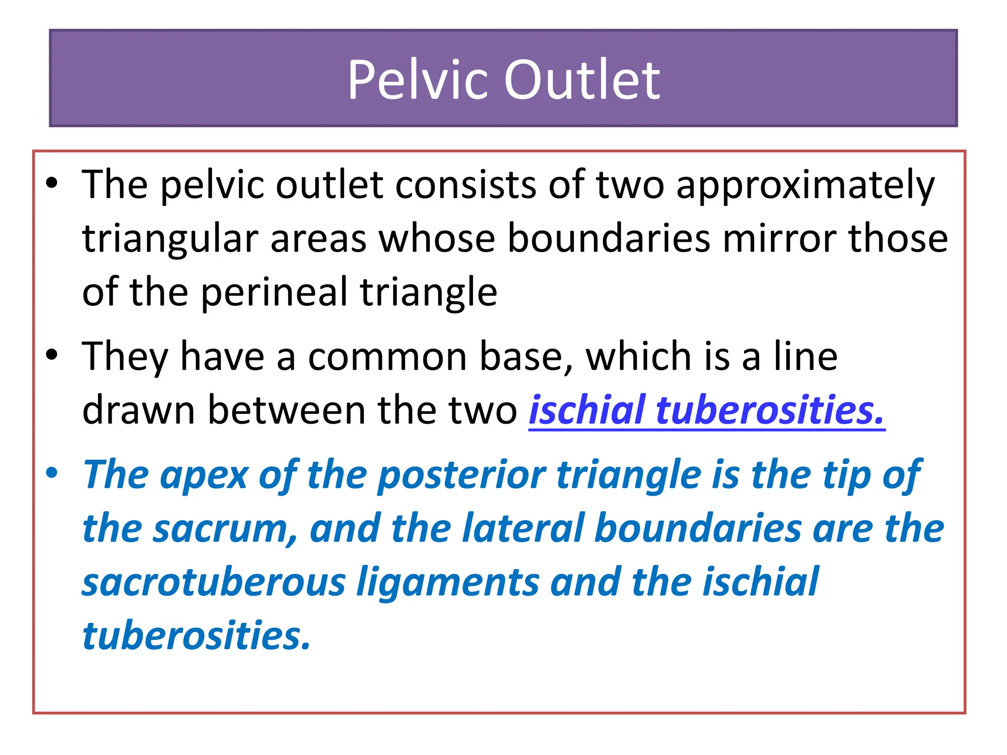 Pelvic Outlet
• The pelvic outlet consists of two approximately
triangular areas whose boundaries mirror those
of the perineal triangle
• They have a common base, which is a line
drawn between the two ischial tuberosities.
• The apex of the posterior triangle is the tip of
the sacrum, and the lateral boundaries are the
sacrotuberous ligaments and the ischial
tuberosities.
 