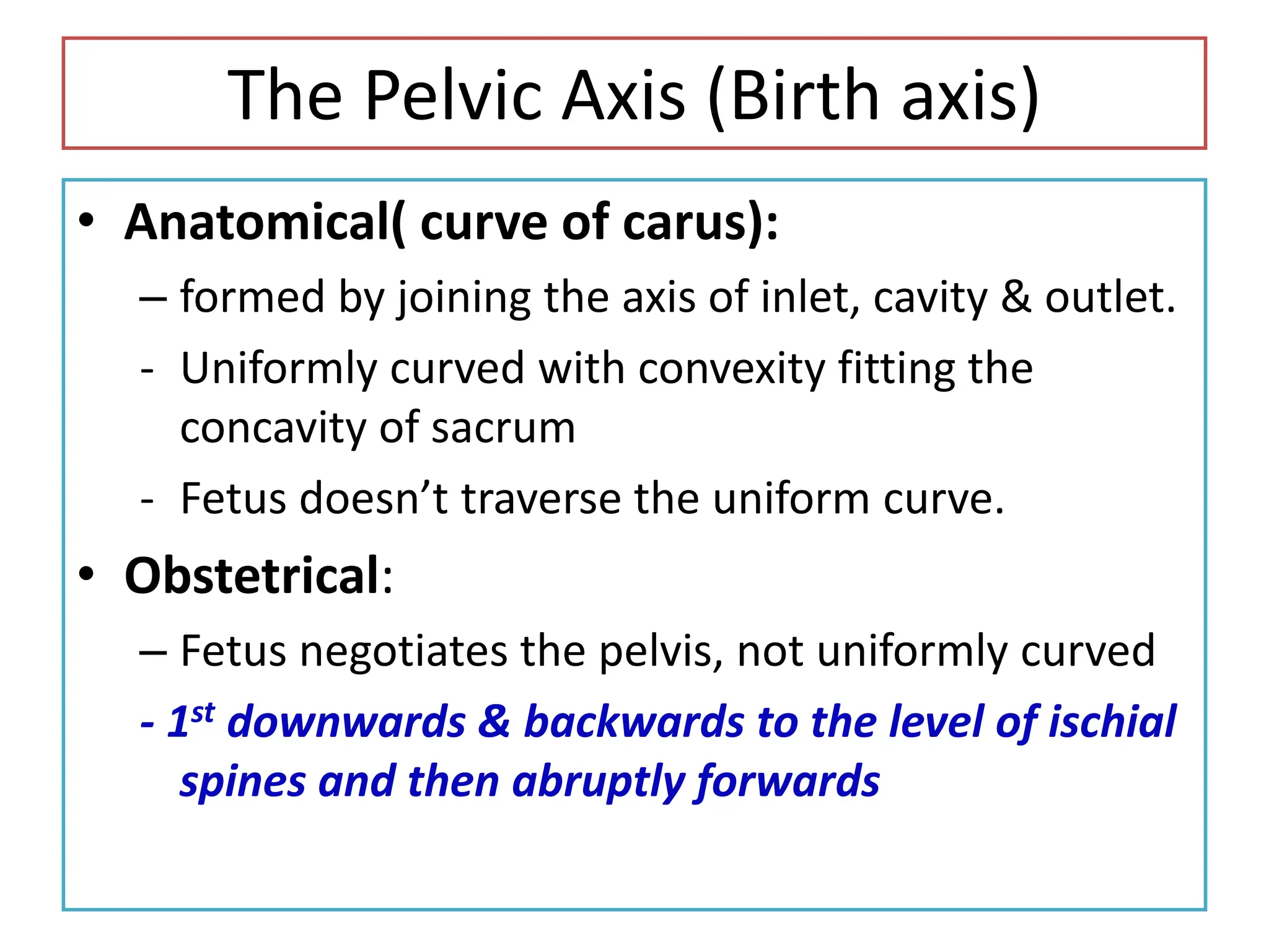 The Pelvic Axis (Birth axis)
• Anatomical( curve of carus):
– formed by joining the axis of inlet, cavity & outlet.
- Uniformly curved with convexity fitting the
concavity of sacrum
- Fetus doesn’t traverse the uniform curve.
• Obstetrical:
– Fetus negotiates the pelvis, not uniformly curved
- 1st downwards & backwards to the level of ischial
spines and then abruptly forwards
 