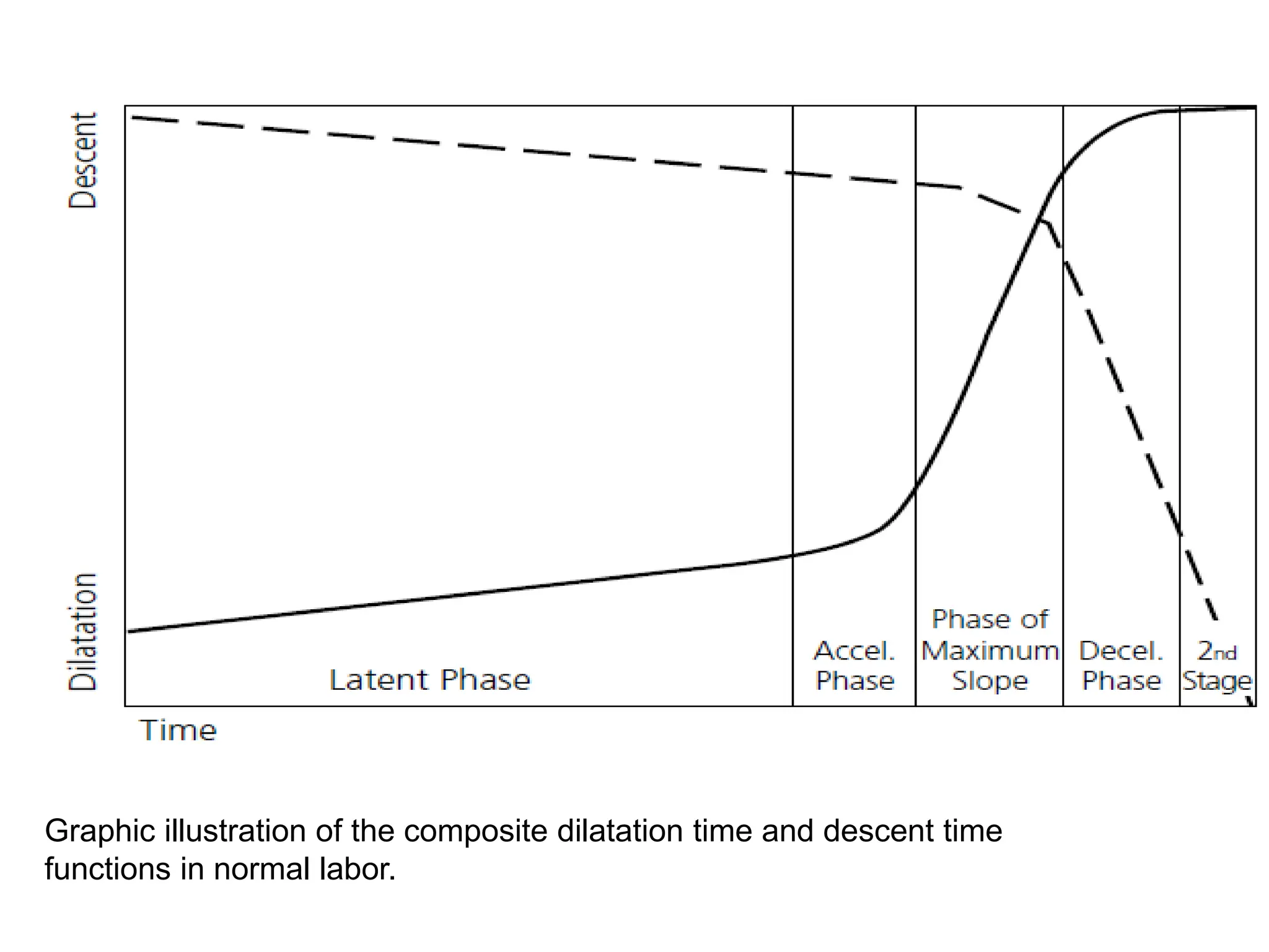 Graphic illustration of the composite dilatation time and descent time
functions in normal labor.
 