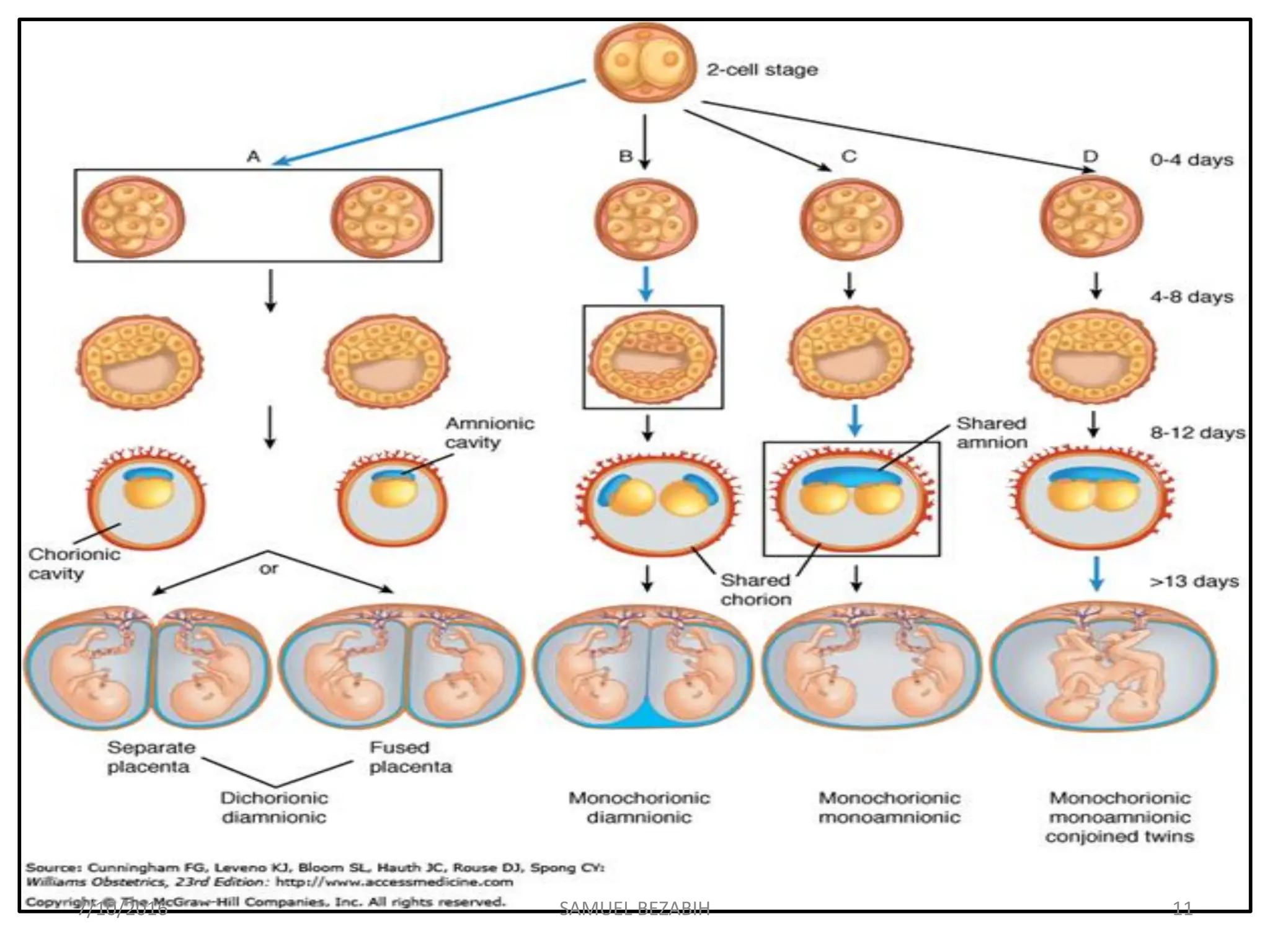 11
SAMUEL BEZABIH
7/10/2016
 
