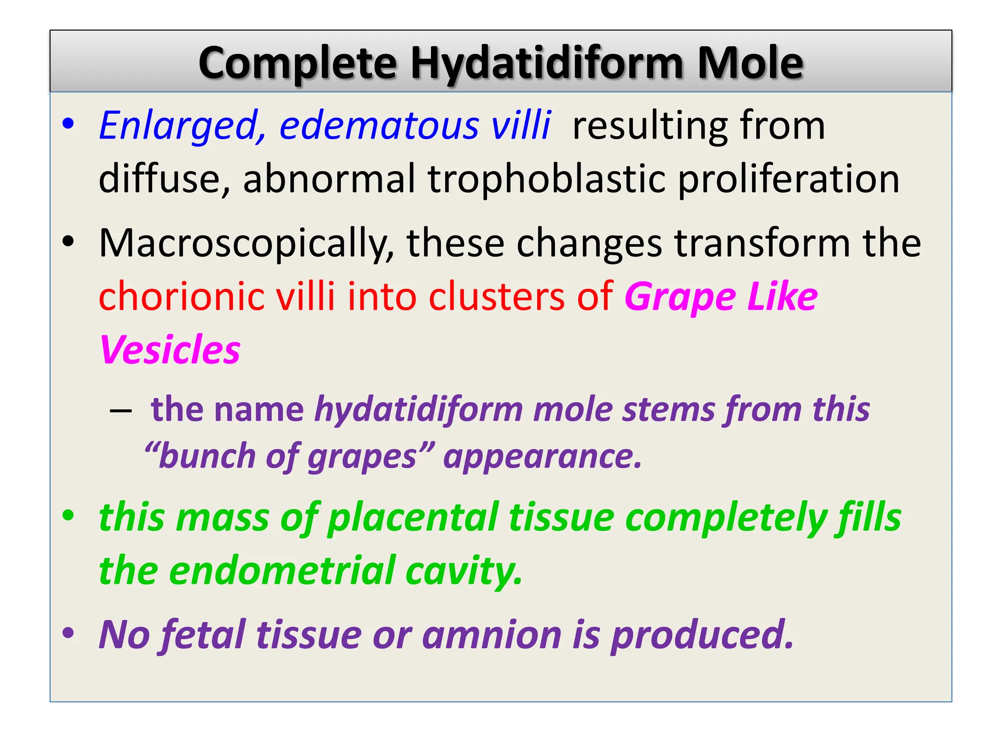 Complete Hydatidiform Mole
• Enlarged, edematous villi resulting from
diffuse, abnormal trophoblastic proliferation
• Macroscopically, these changes transform the
chorionic villi into clusters of Grape Like
Vesicles
– the name hydatidiform mole stems from this
“bunch of grapes” appearance.
• this mass of placental tissue completely fills
the endometrial cavity.
• No fetal tissue or amnion is produced.
 