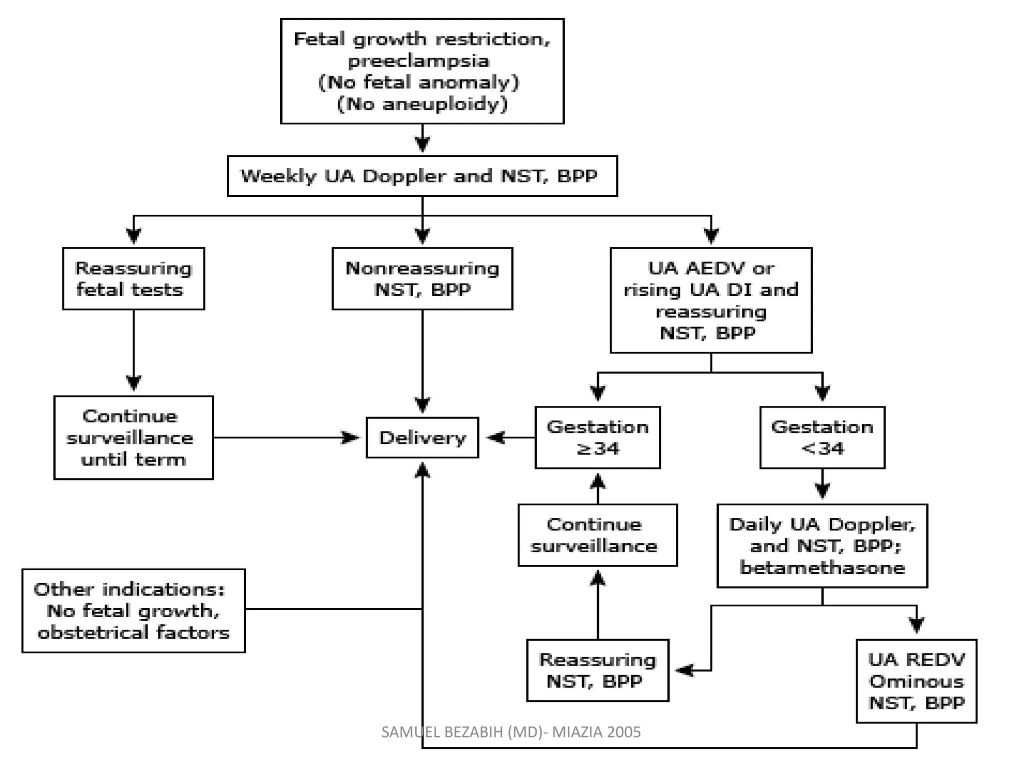 SAMUEL BEZABIH (MD)- MIAZIA 2005
 