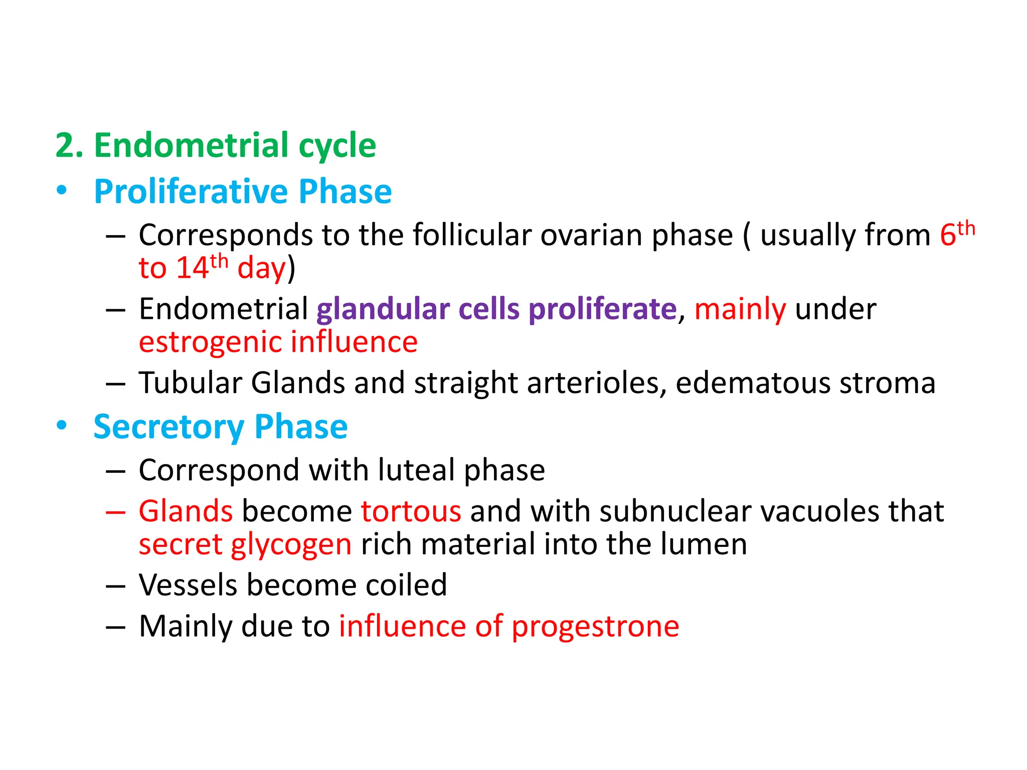 2. Endometrial cycle
• Proliferative Phase
– Corresponds to the follicular ovarian phase ( usually from 6th
to 14th day)
– Endometrial glandular cells proliferate, mainly under
estrogenic influence
– Tubular Glands and straight arterioles, edematous stroma
• Secretory Phase
– Correspond with luteal phase
– Glands become tortous and with subnuclear vacuoles that
secret glycogen rich material into the lumen
– Vessels become coiled
– Mainly due to influence of progestrone
 