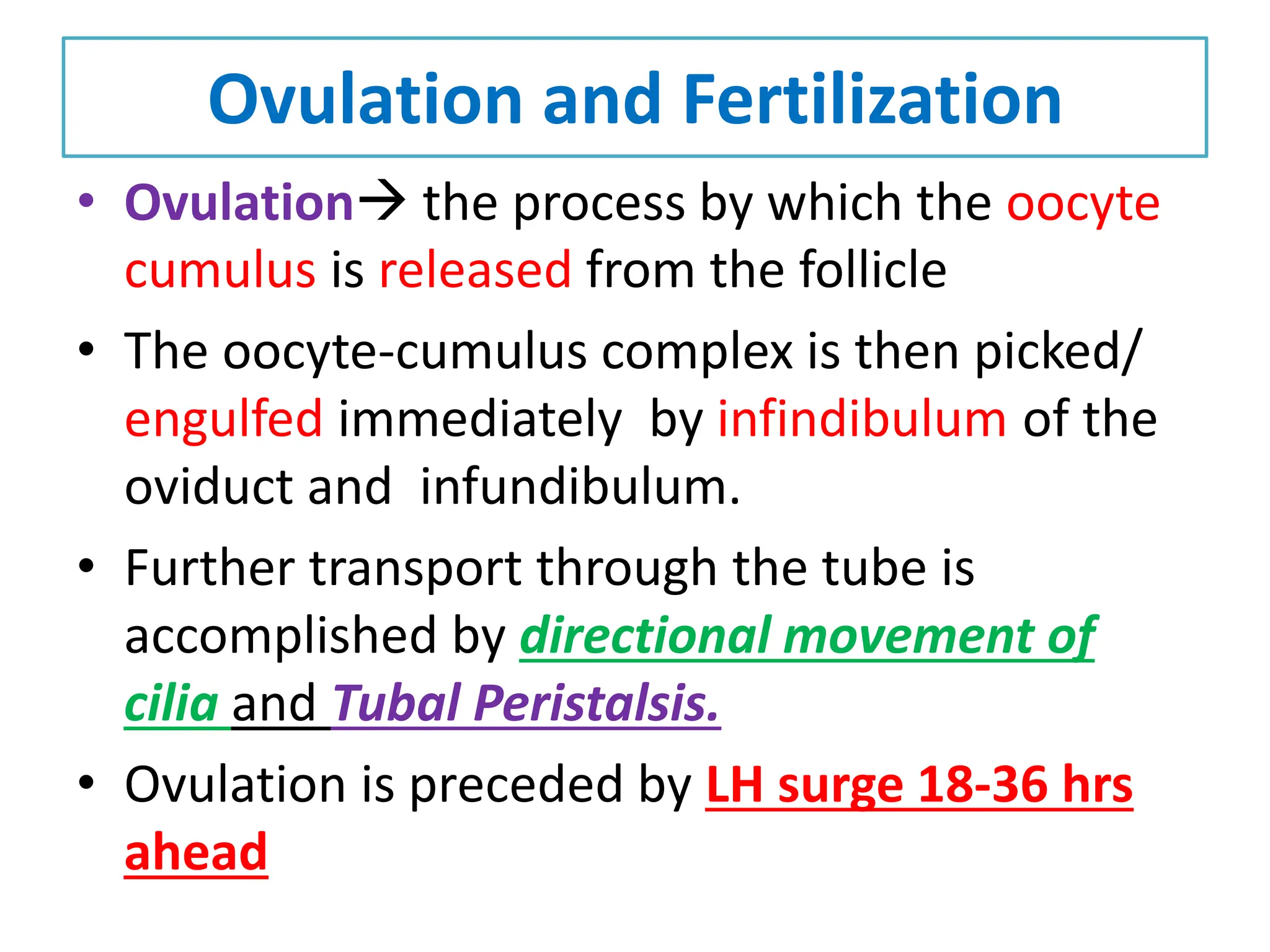 Ovulation and Fertilization
• Ovulation the process by which the oocyte
cumulus is released from the follicle
• The oocyte-cumulus complex is then picked/
engulfed immediately by infindibulum of the
oviduct and infundibulum.
• Further transport through the tube is
accomplished by directional movement of
cilia and Tubal Peristalsis.
• Ovulation is preceded by LH surge 18-36 hrs
ahead
 