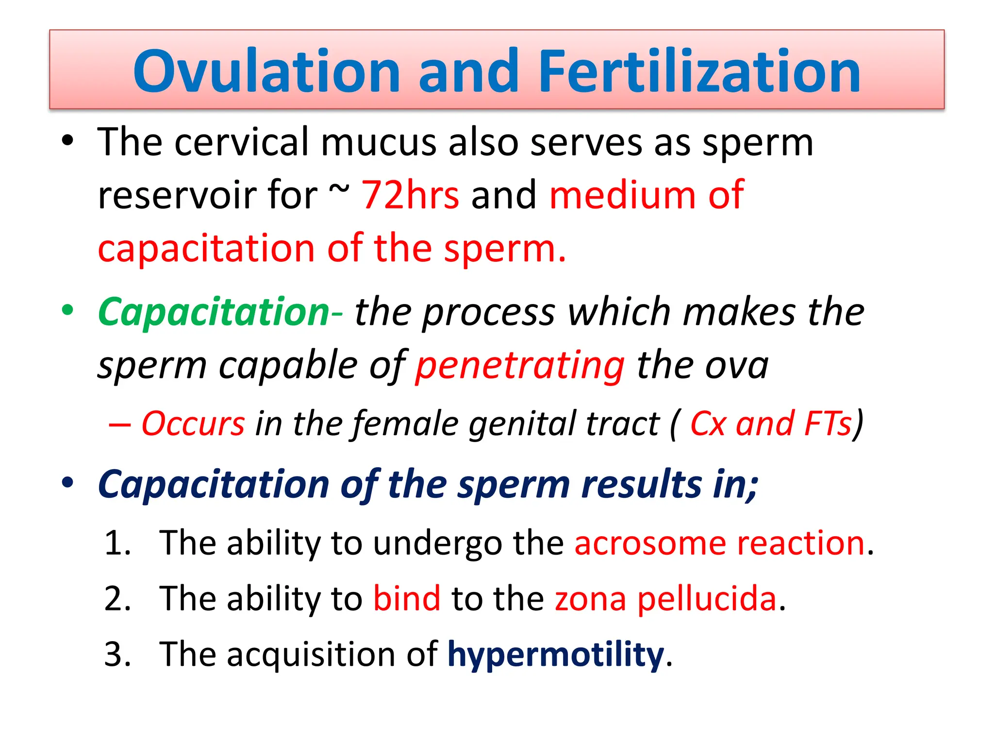 Ovulation and Fertilization
• The cervical mucus also serves as sperm
reservoir for ~ 72hrs and medium of
capacitation of the sperm.
• Capacitation- the process which makes the
sperm capable of penetrating the ova
– Occurs in the female genital tract ( Cx and FTs)
• Capacitation of the sperm results in;
1. The ability to undergo the acrosome reaction.
2. The ability to bind to the zona pellucida.
3. The acquisition of hypermotility.
 