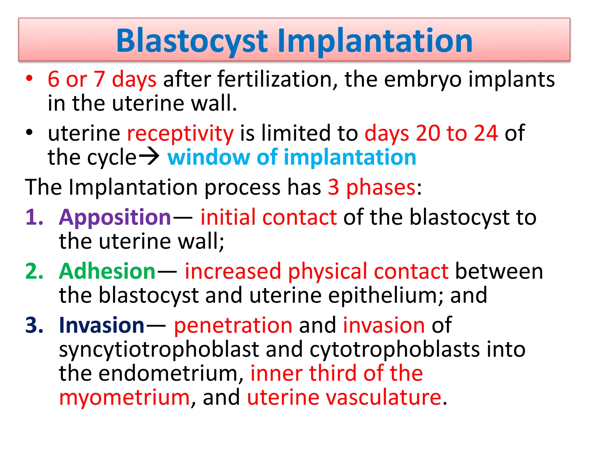 Blastocyst Implantation
• 6 or 7 days after fertilization, the embryo implants
in the uterine wall.
• uterine receptivity is limited to days 20 to 24 of
the cycle window of implantation
The Implantation process has 3 phases:
1. Apposition— initial contact of the blastocyst to
the uterine wall;
2. Adhesion— increased physical contact between
the blastocyst and uterine epithelium; and
3. Invasion— penetration and invasion of
syncytiotrophoblast and cytotrophoblasts into
the endometrium, inner third of the
myometrium, and uterine vasculature.
 