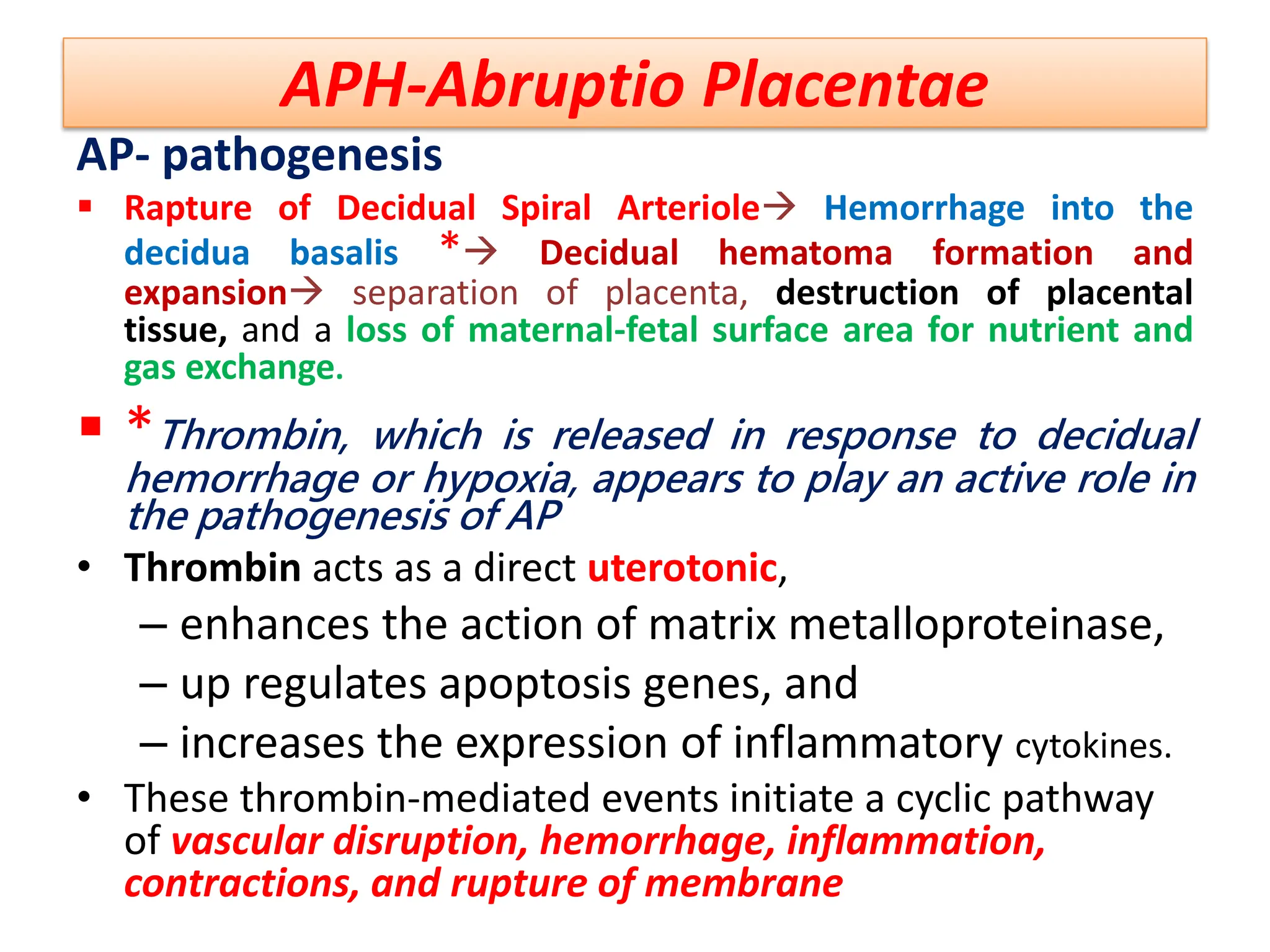 APH-Abruptio Placentae
AP- pathogenesis
 Rapture of Decidual Spiral Arteriole Hemorrhage into the
decidua basalis * Decidual hematoma formation and
expansion separation of placenta, destruction of placental
tissue, and a loss of maternal-fetal surface area for nutrient and
gas exchange.
 *Thrombin, which is released in response to decidual
hemorrhage or hypoxia, appears to play an active role in
the pathogenesis of AP
• Thrombin acts as a direct uterotonic,
– enhances the action of matrix metalloproteinase,
– up regulates apoptosis genes, and
– increases the expression of inflammatory cytokines.
• These thrombin-mediated events initiate a cyclic pathway
of vascular disruption, hemorrhage, inflammation,
contractions, and rupture of membrane
 