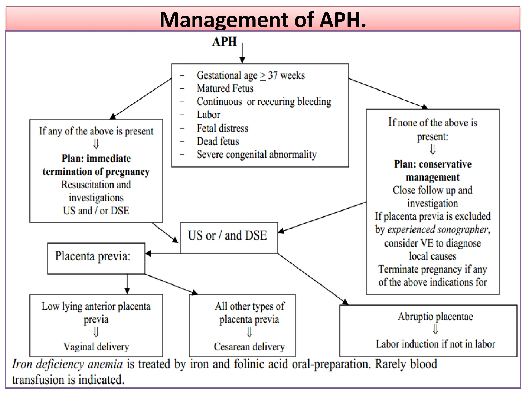 Management of APH.
 