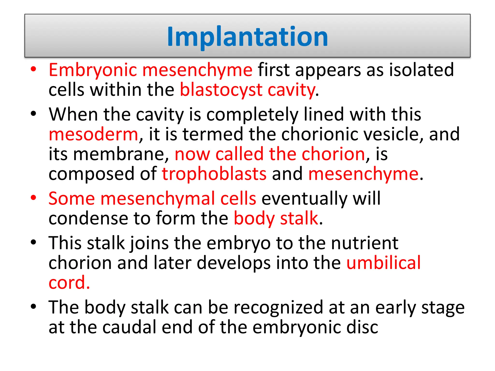 Implantation
• Embryonic mesenchyme first appears as isolated
cells within the blastocyst cavity.
• When the cavity is completely lined with this
mesoderm, it is termed the chorionic vesicle, and
its membrane, now called the chorion, is
composed of trophoblasts and mesenchyme.
• Some mesenchymal cells eventually will
condense to form the body stalk.
• This stalk joins the embryo to the nutrient
chorion and later develops into the umbilical
cord.
• The body stalk can be recognized at an early stage
at the caudal end of the embryonic disc
 
