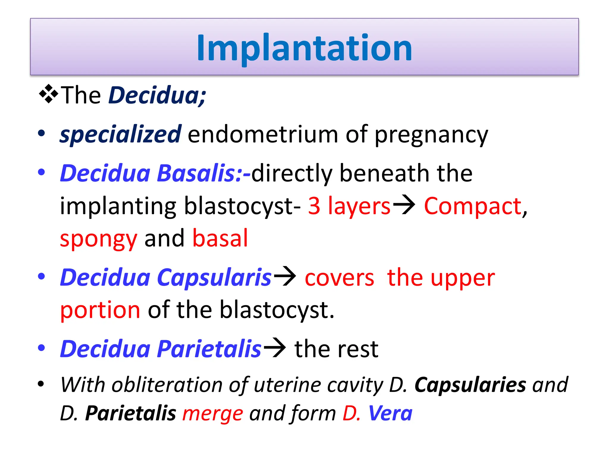Implantation
The Decidua;
• specialized endometrium of pregnancy
• Decidua Basalis:-directly beneath the
implanting blastocyst- 3 layers Compact,
spongy and basal
• Decidua Capsularis covers the upper
portion of the blastocyst.
• Decidua Parietalis the rest
• With obliteration of uterine cavity D. Capsularies and
D. Parietalis merge and form D. Vera
 