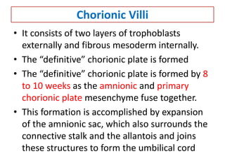 Chorionic Villi
• It consists of two layers of trophoblasts
externally and fibrous mesoderm internally.
• The “definitive” chorionic plate is formed
• The “definitive” chorionic plate is formed by 8
to 10 weeks as the amnionic and primary
chorionic plate mesenchyme fuse together.
• This formation is accomplished by expansion
of the amnionic sac, which also surrounds the
connective stalk and the allantois and joins
these structures to form the umbilical cord
 