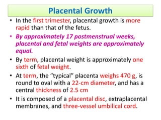 Placental Growth
• In the first trimester, placental growth is more
rapid than that of the fetus.
• By approximately 17 postmenstrual weeks,
placental and fetal weights are approximately
equal.
• By term, placental weight is approximately one
sixth of fetal weight.
• At term, the “typical” placenta weighs 470 g, is
round to oval with a 22-cm diameter, and has a
central thickness of 2.5 cm
• It is composed of a placental disc, extraplacental
membranes, and three-vessel umbilical cord.
 